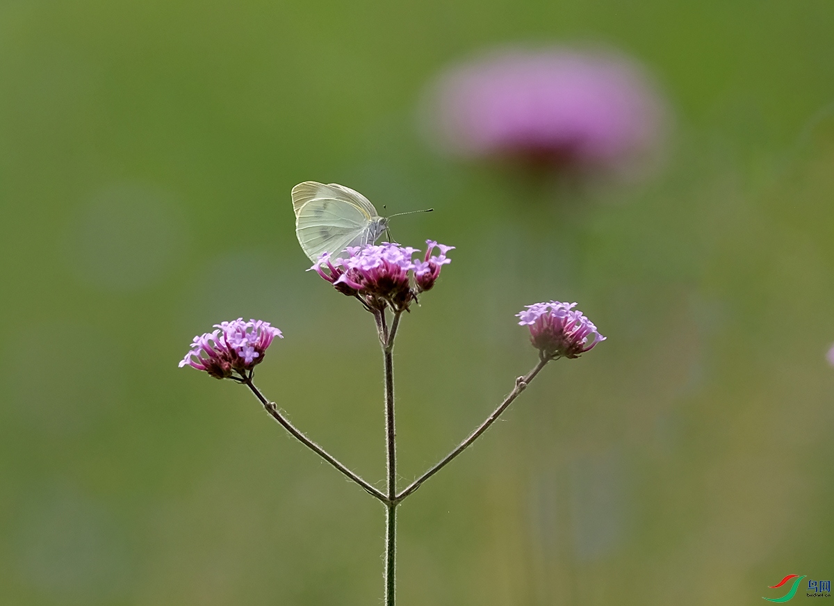 DSCF1559.JPG