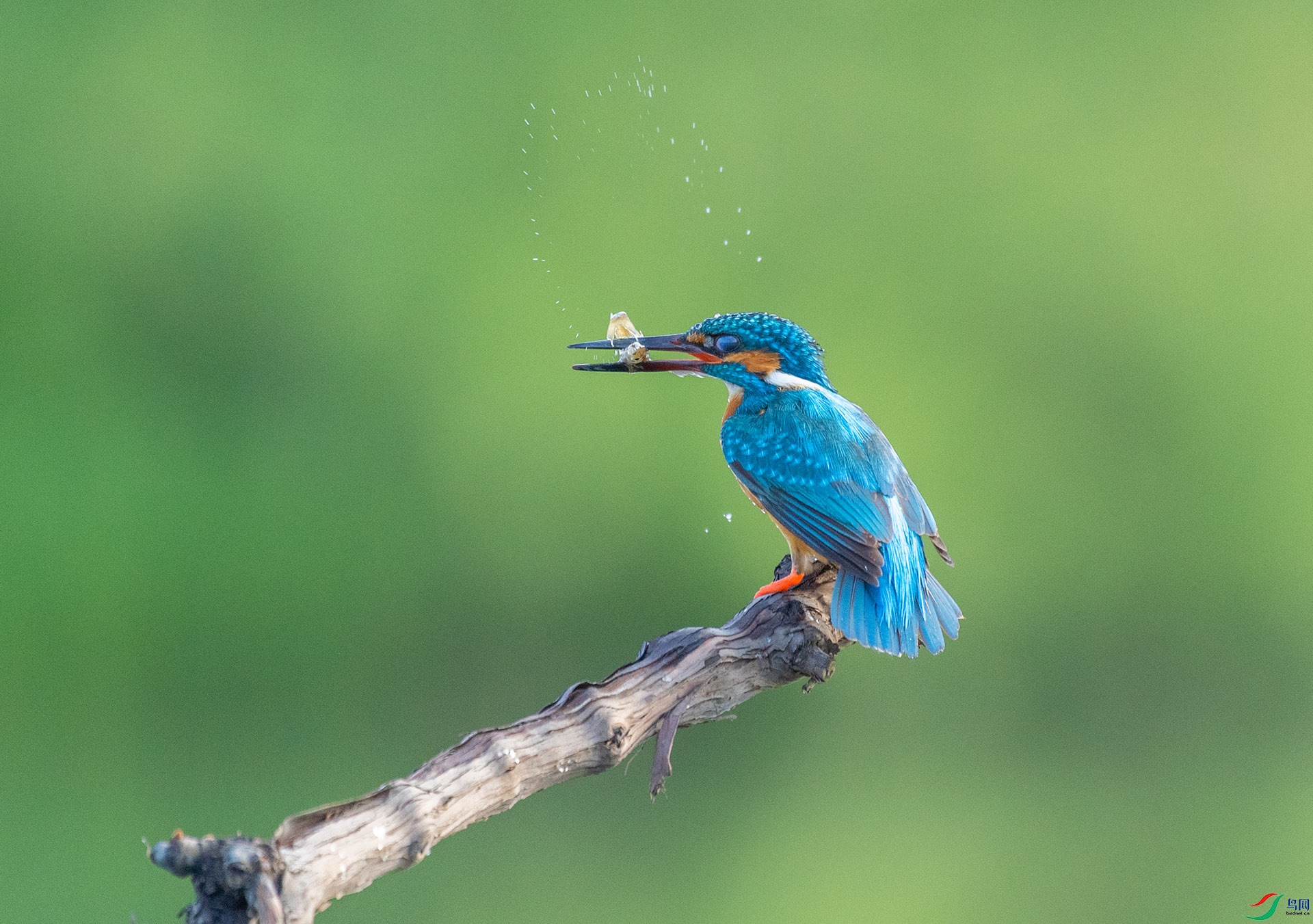 DSC_3439 ����.jpg