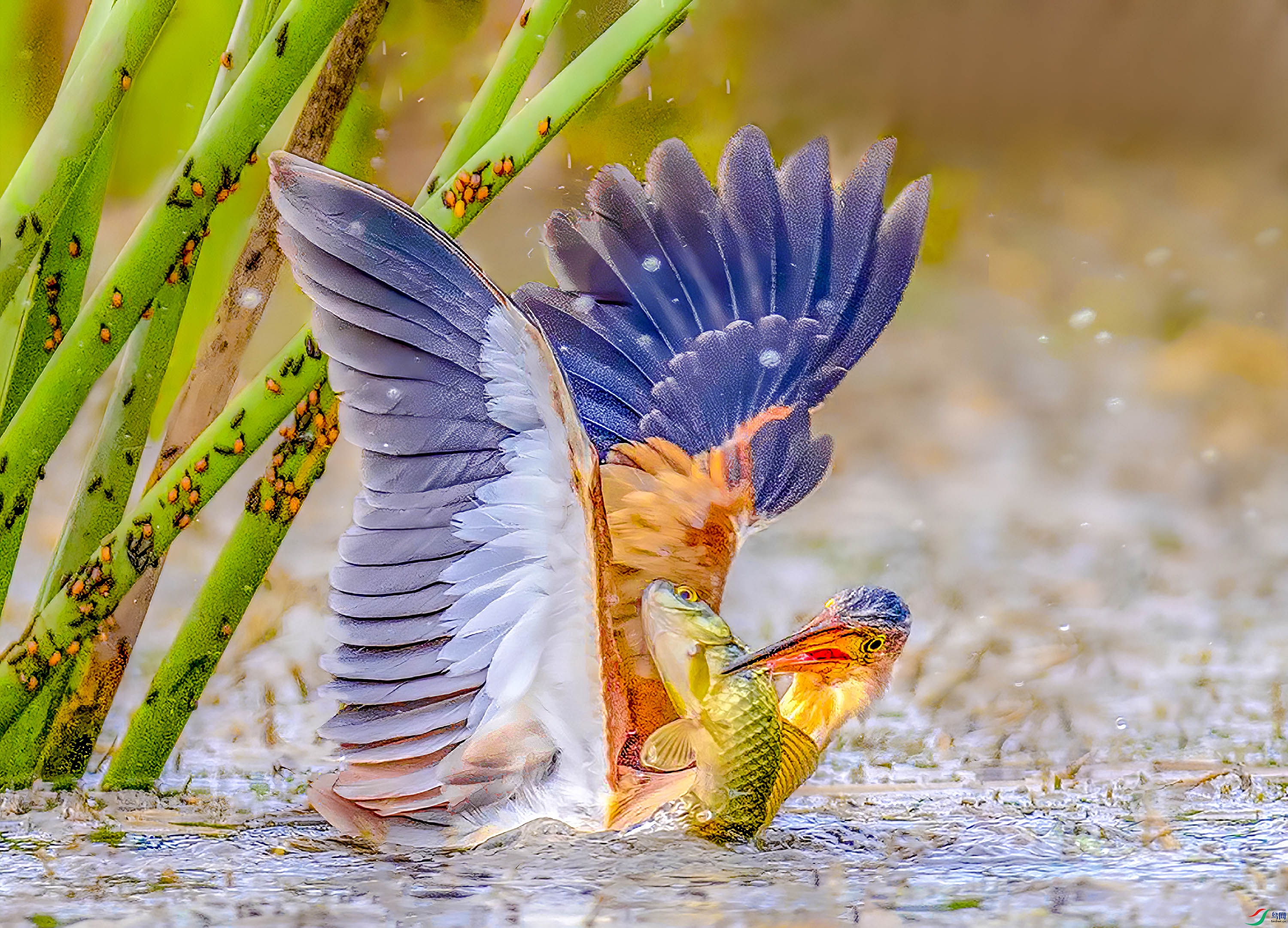 _JLN3498     ok (1).jpg