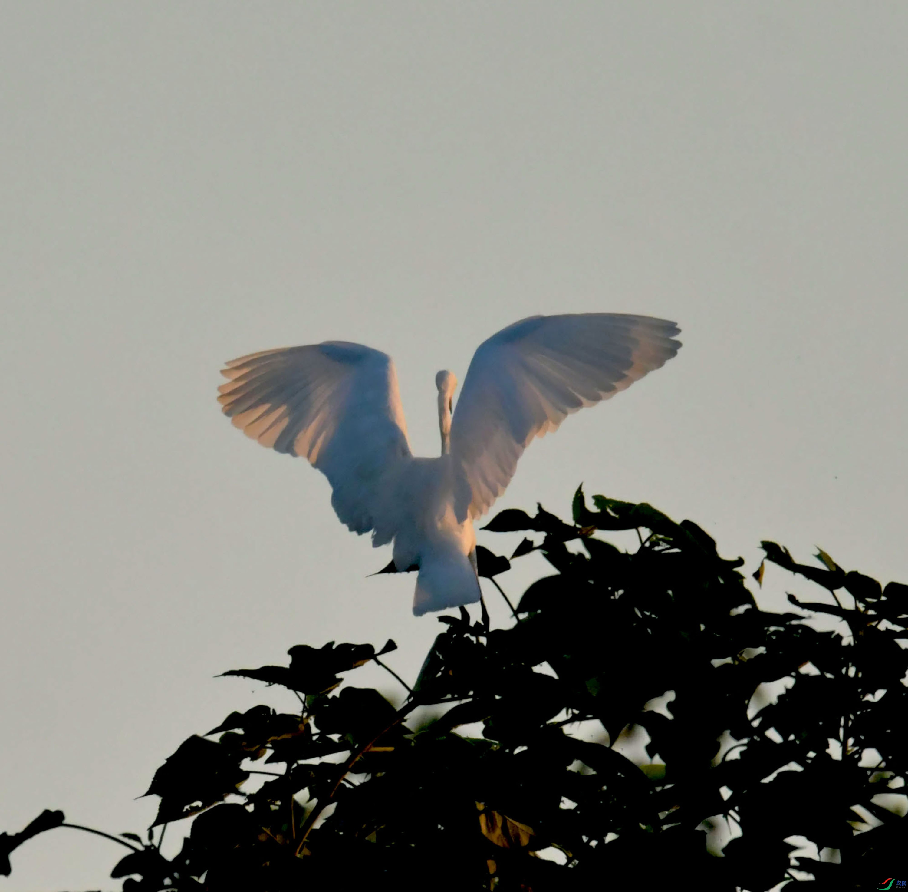 DSC_9201.JPG