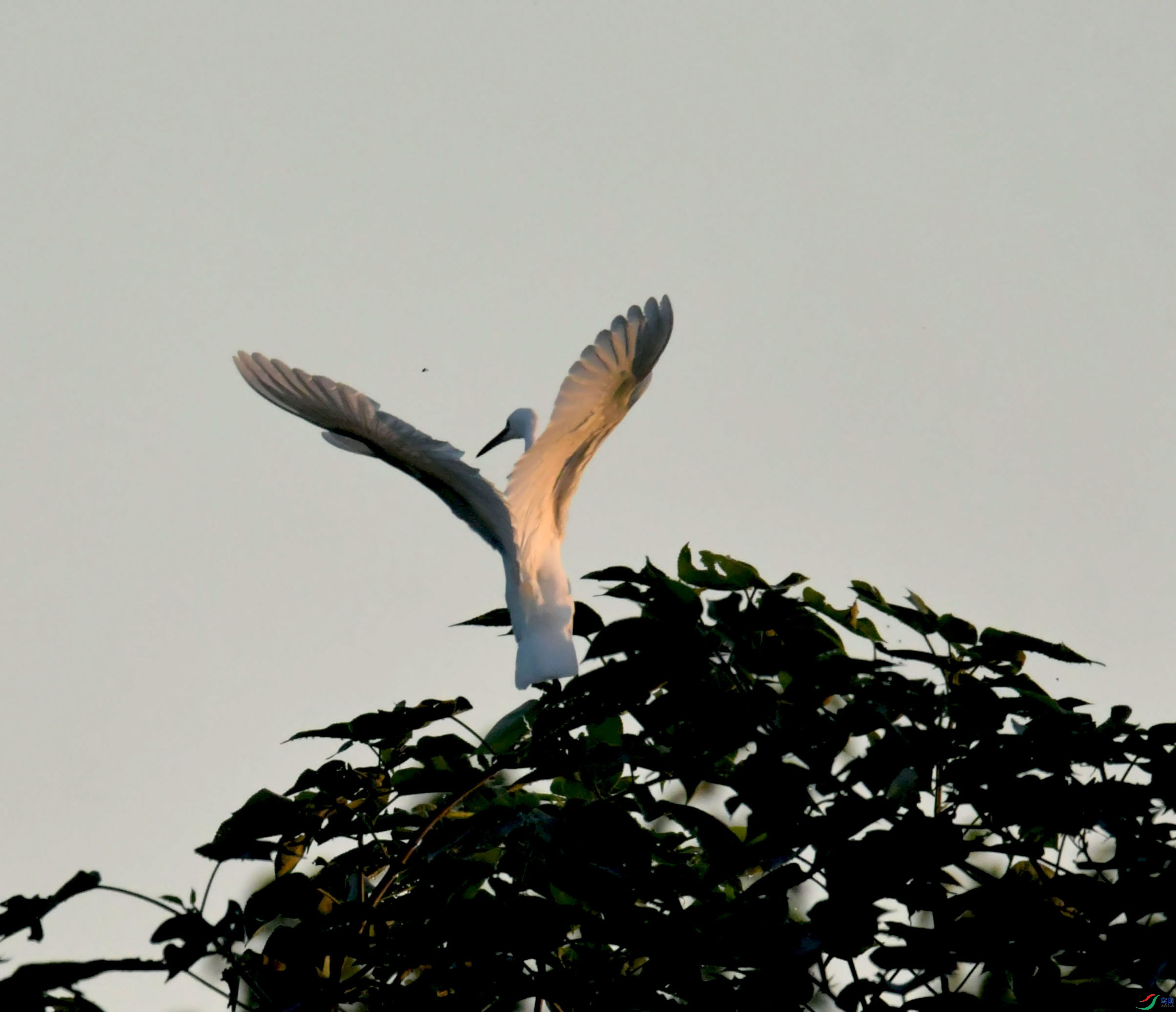 DSC_9202.JPG