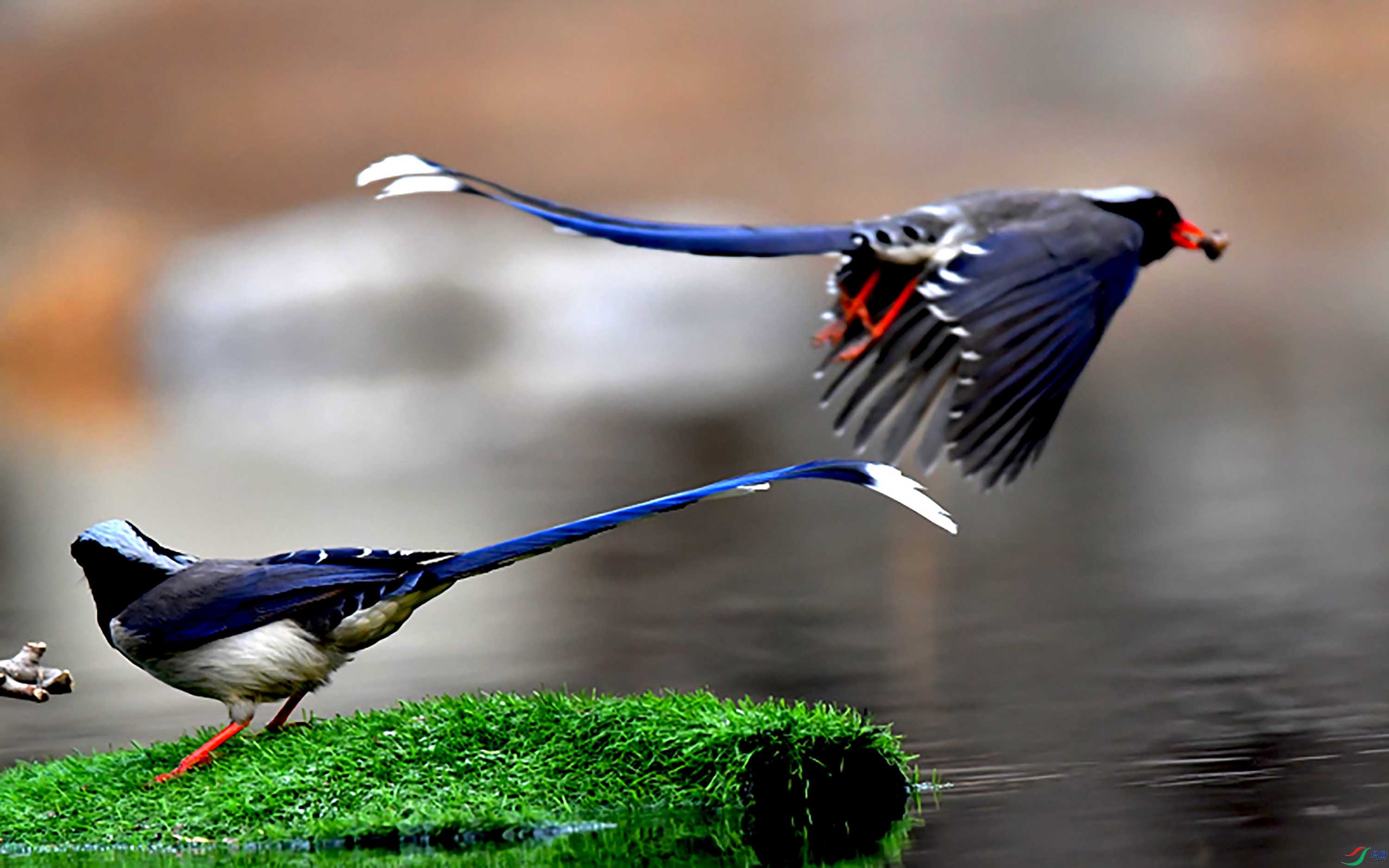 Copy2_DSC_0915.JPG