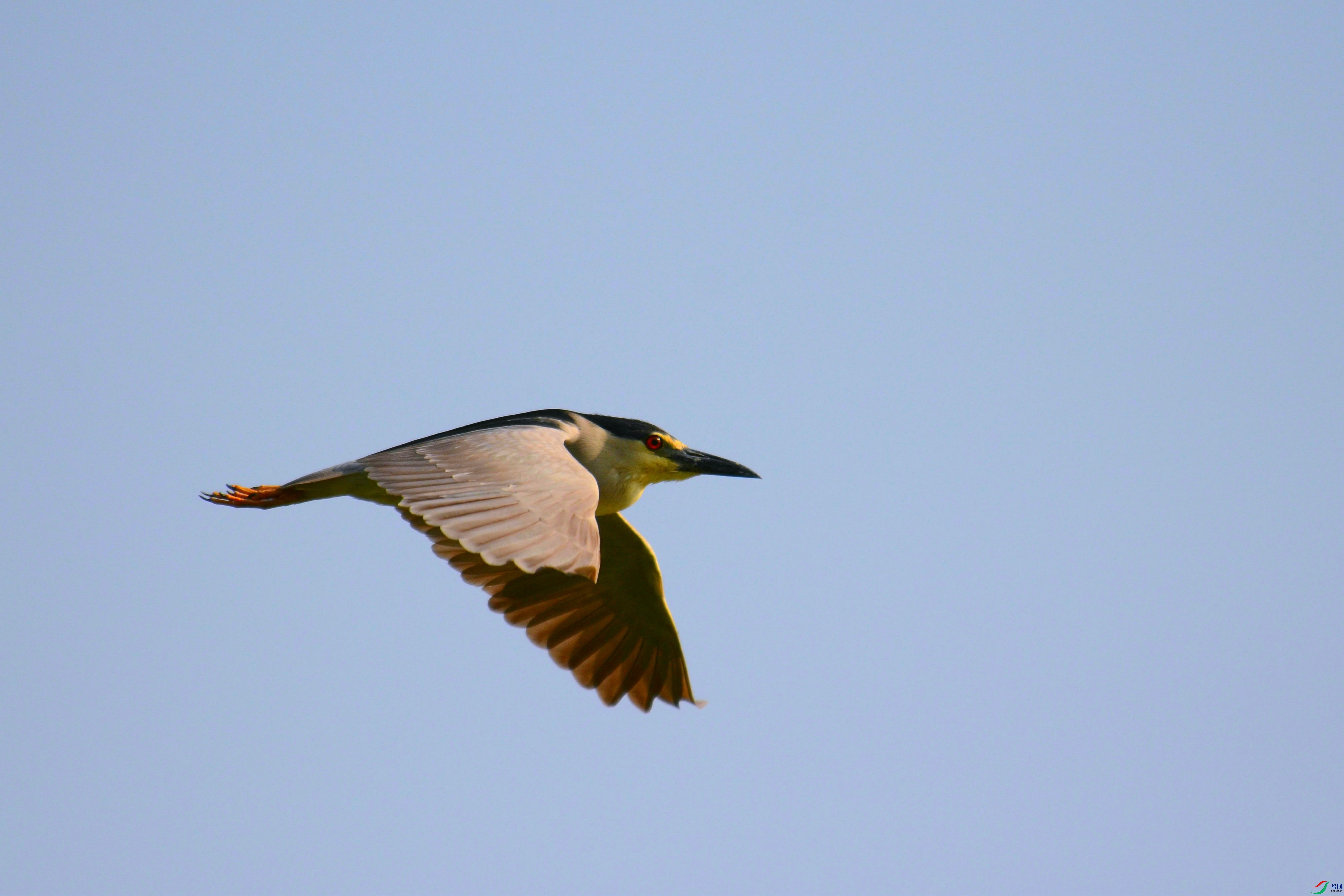 DSC_5664.JPG