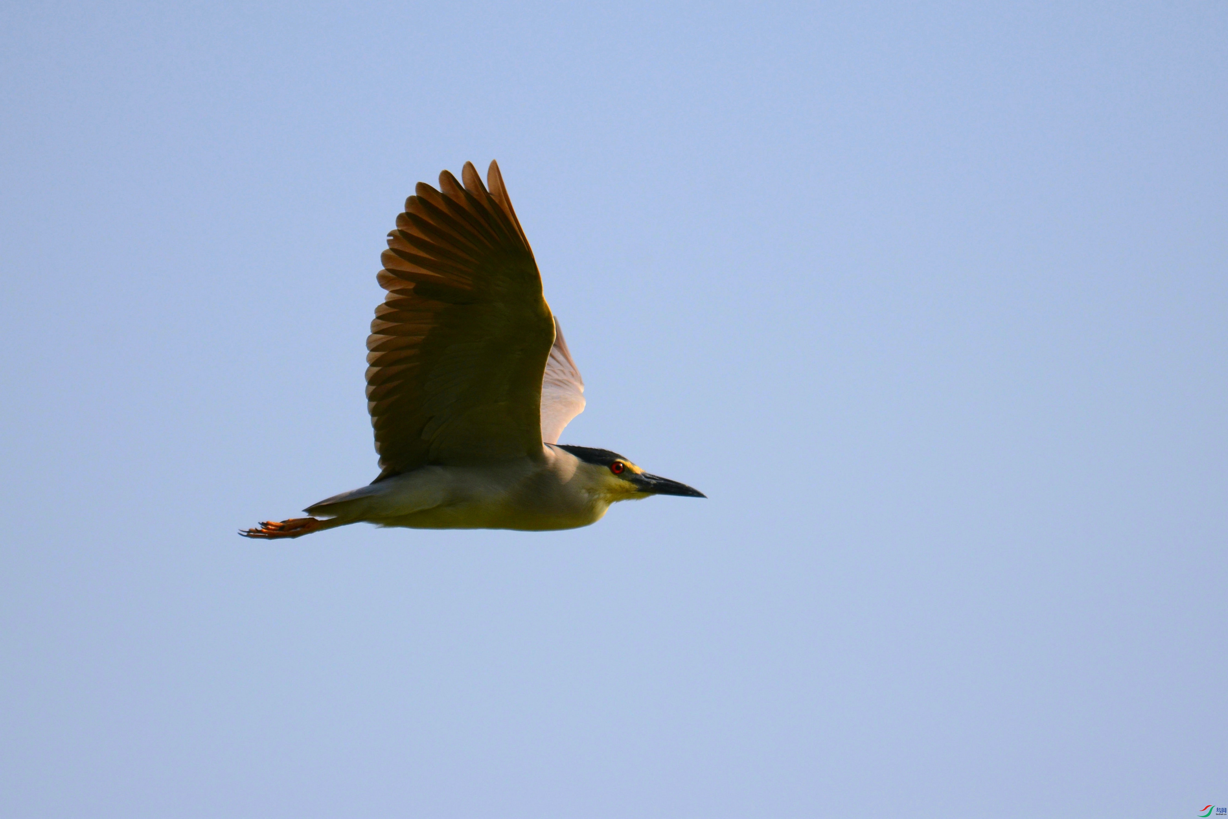 DSC_5665.JPG