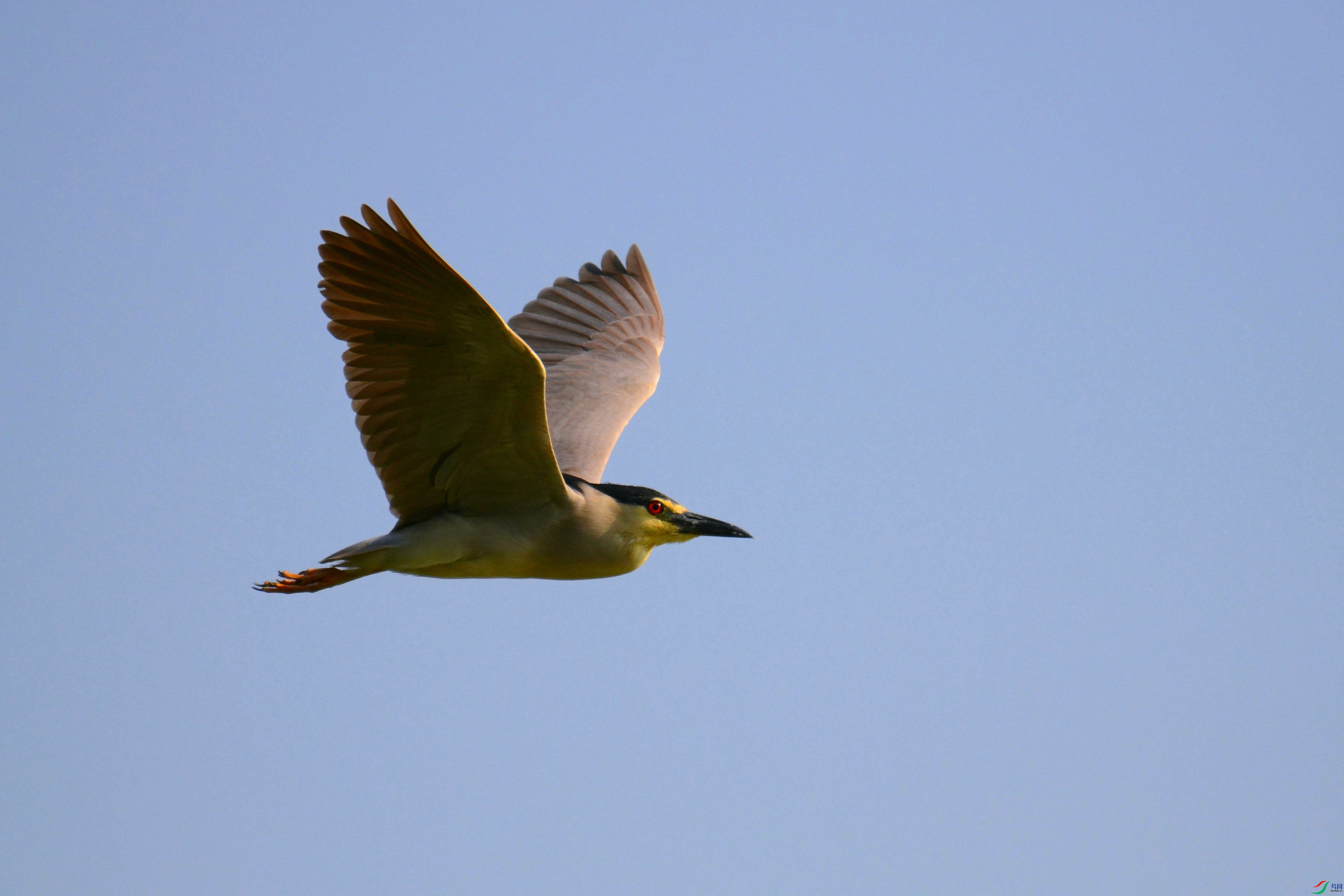 DSC_5659.JPG