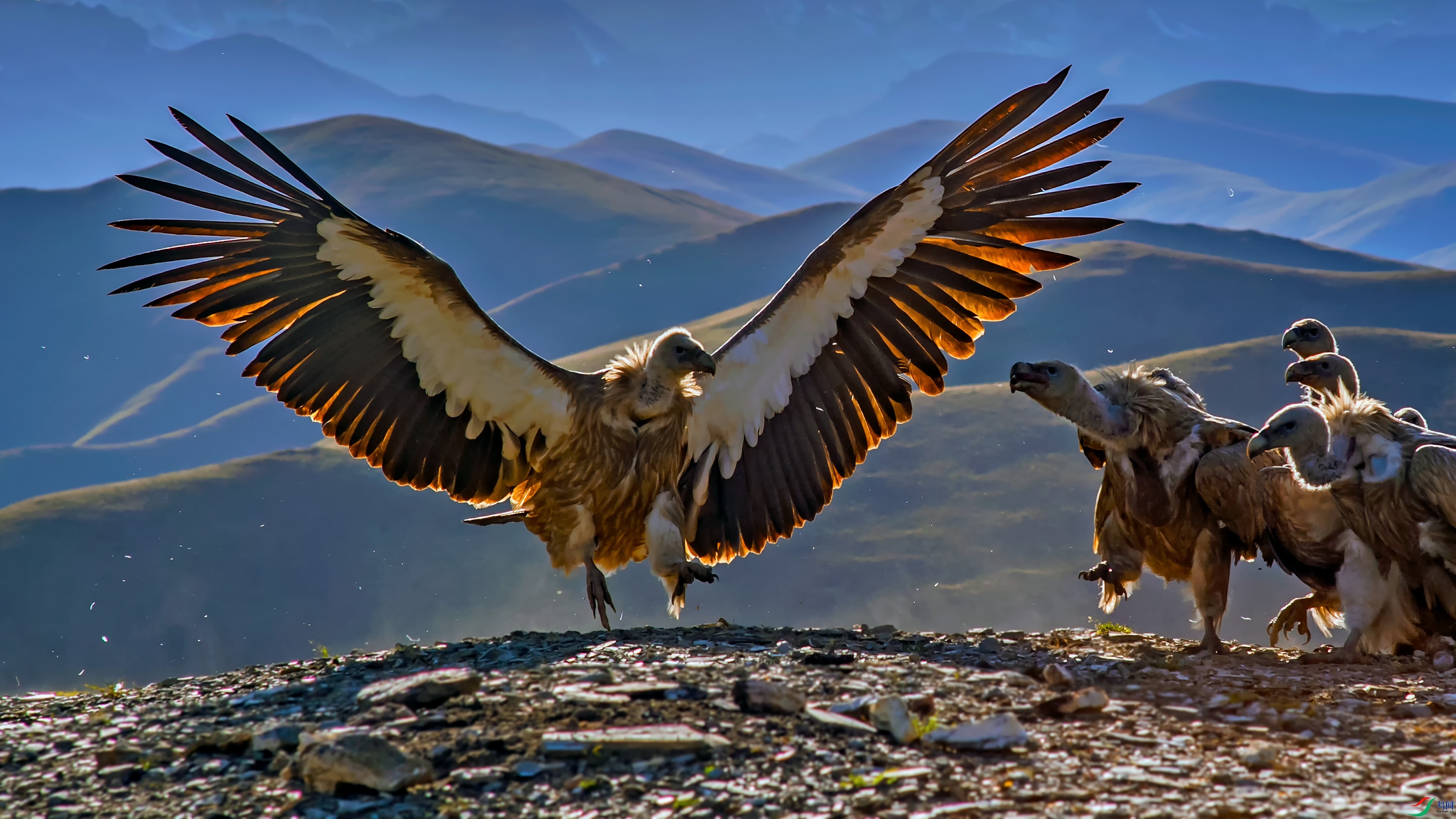 _DSC6067_��ͼ��.jpg