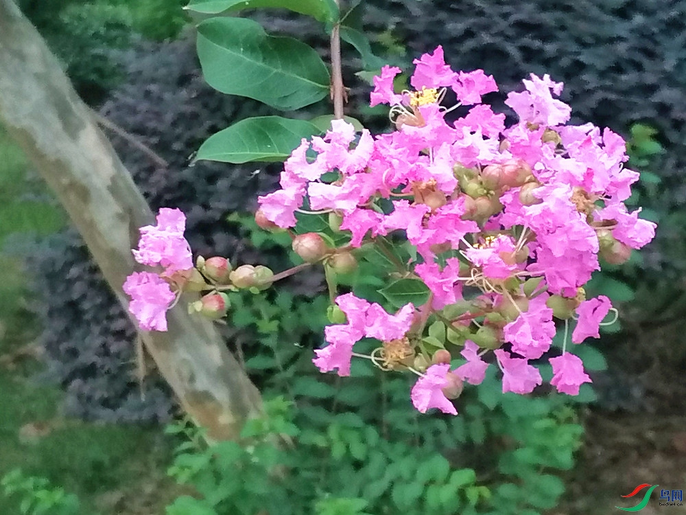 ΢��ͼƬ_20220729101753.jpg