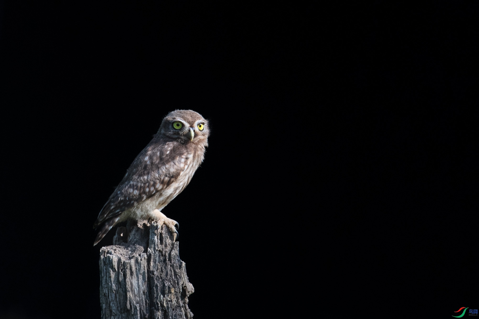 DSC_4999����.jpg