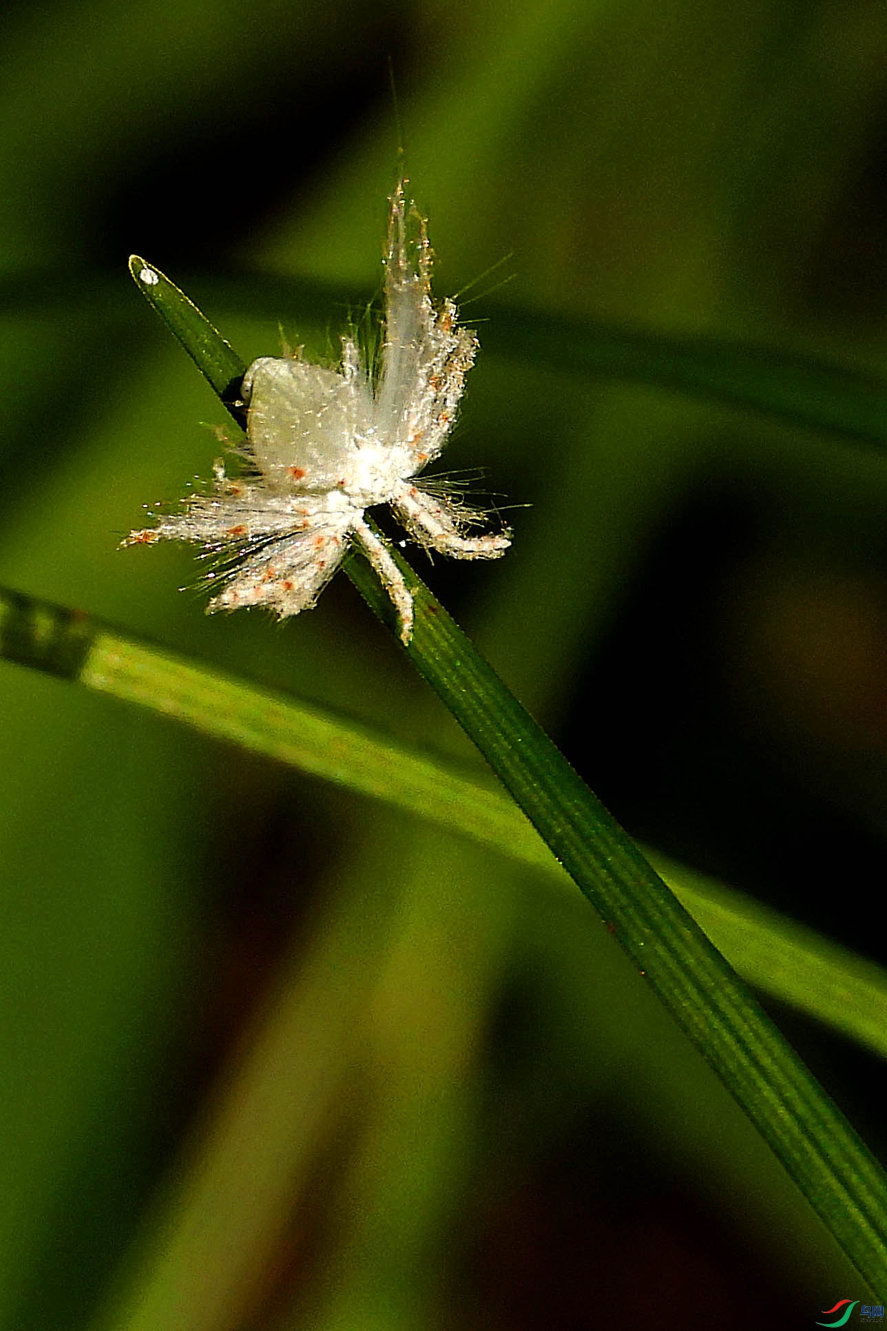DSCN3952.jpg