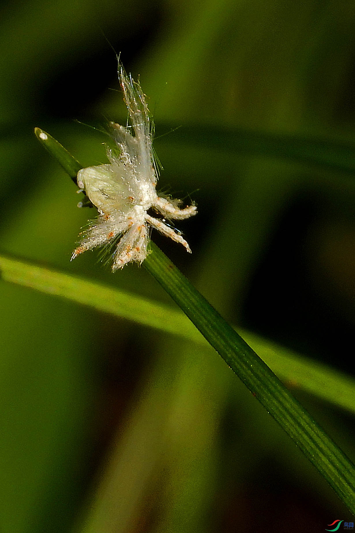 DSCN3953.jpg