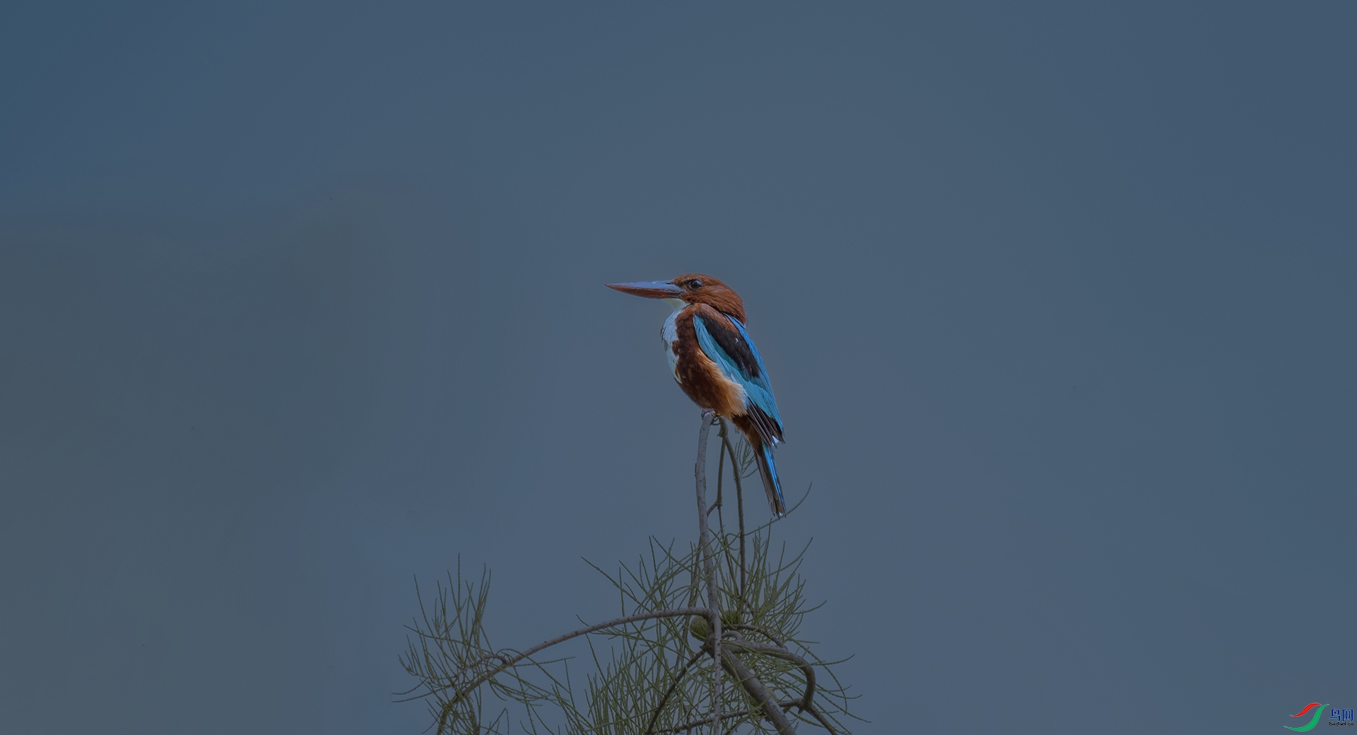 DSC_8348.jpg