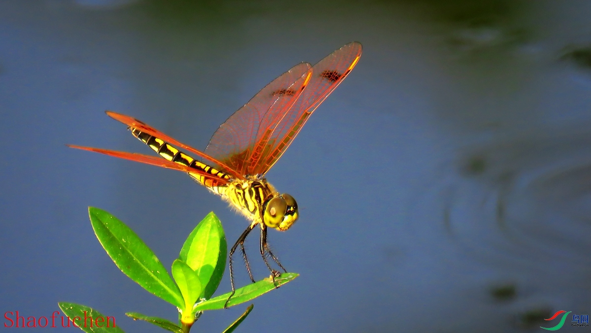 IMG_5886.JPG