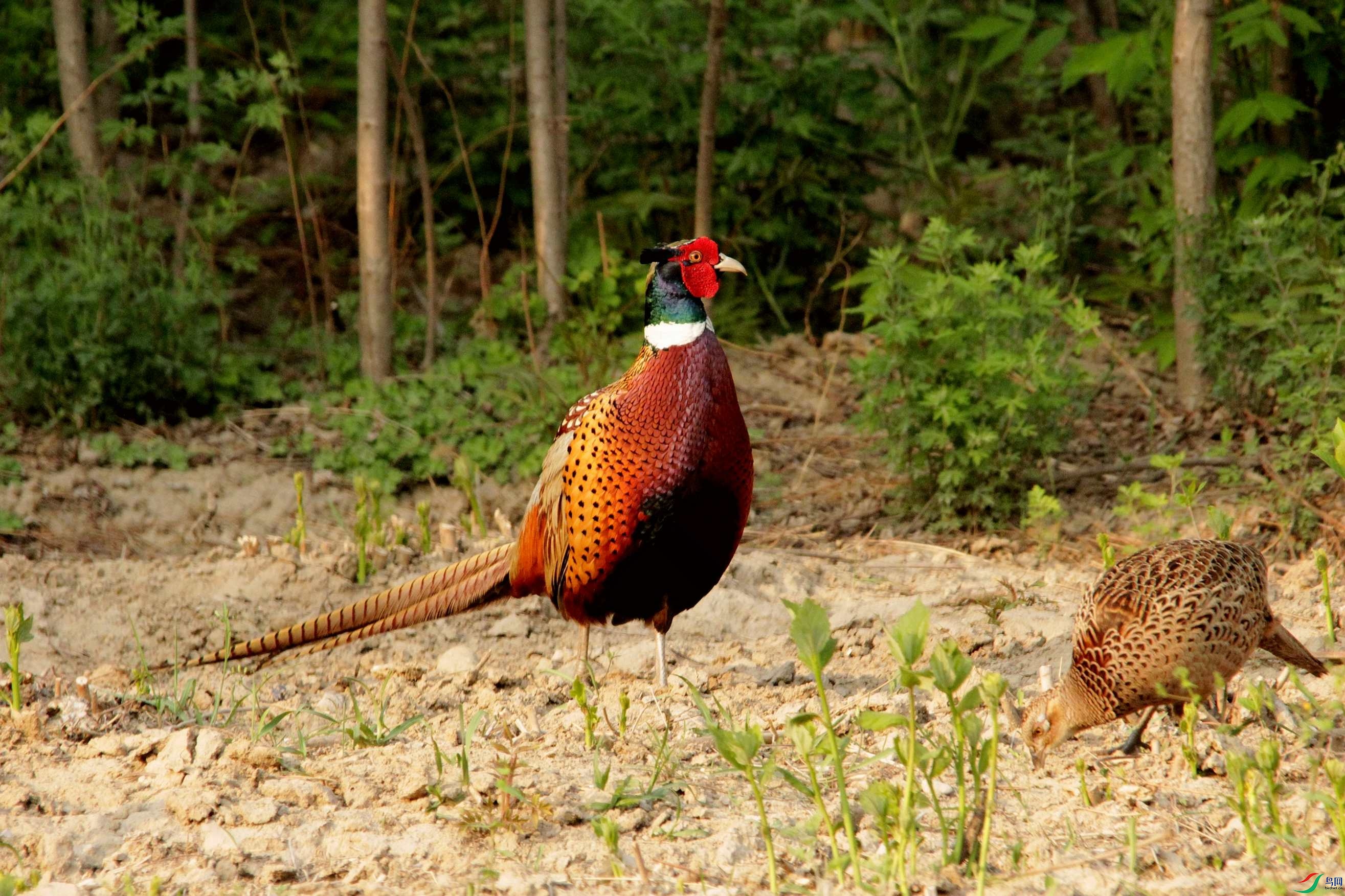 ���� (8).jpg