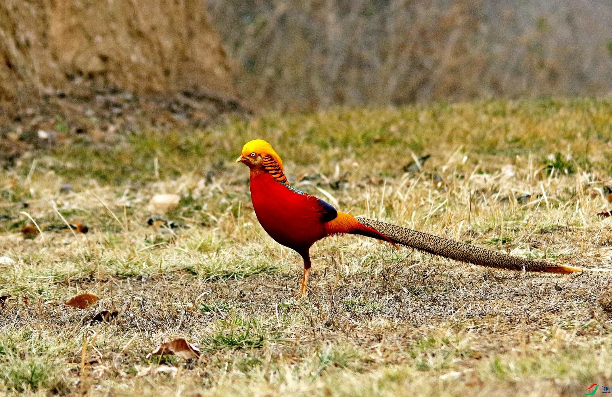 �츹���� (24).jpg