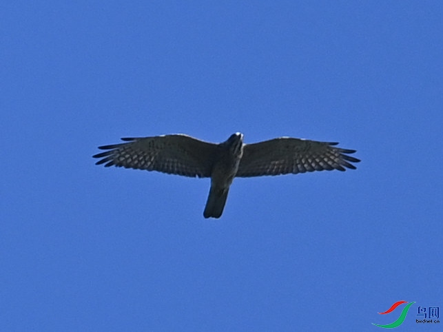 DSC_3092.JPG