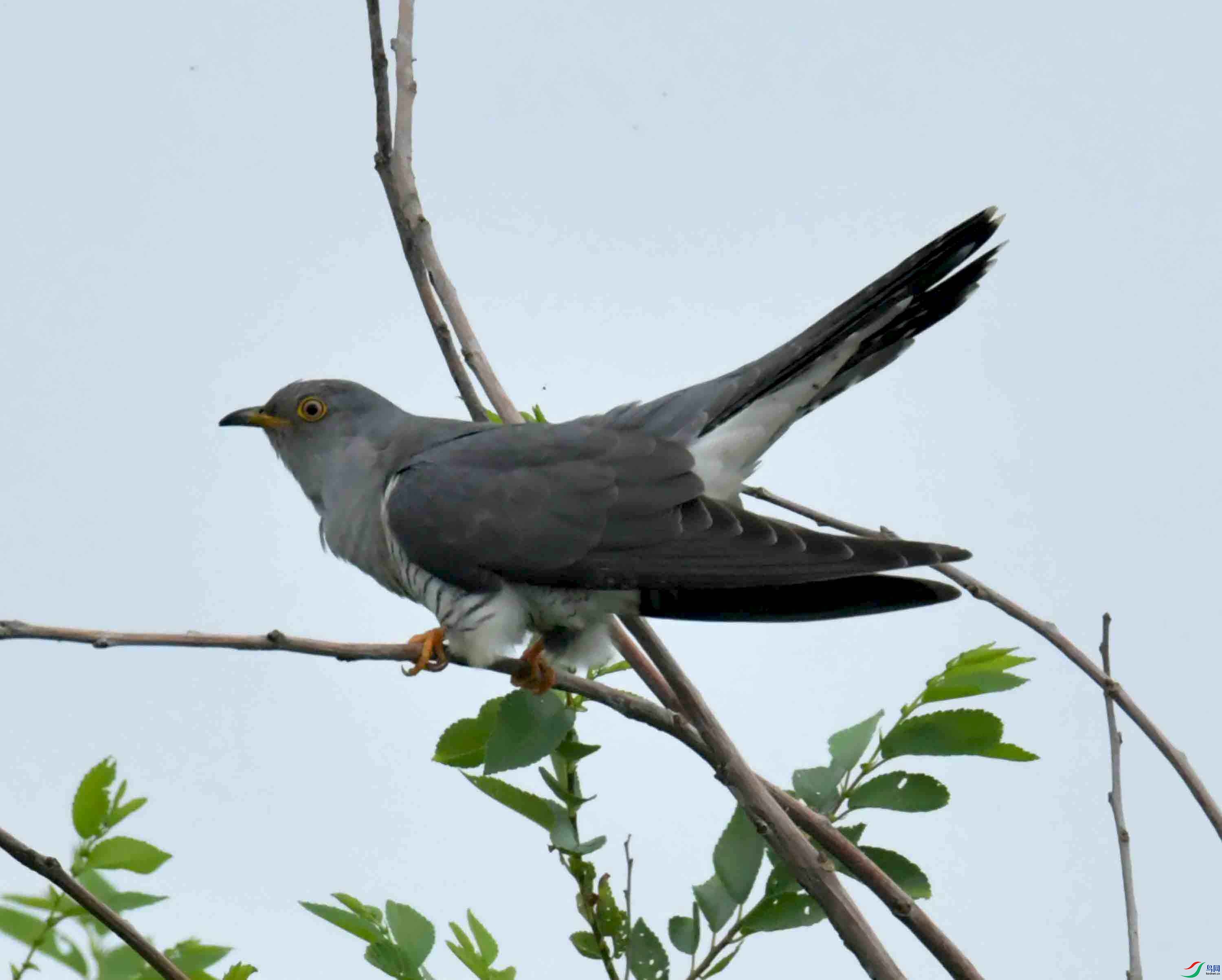 DSC_9273.JPG