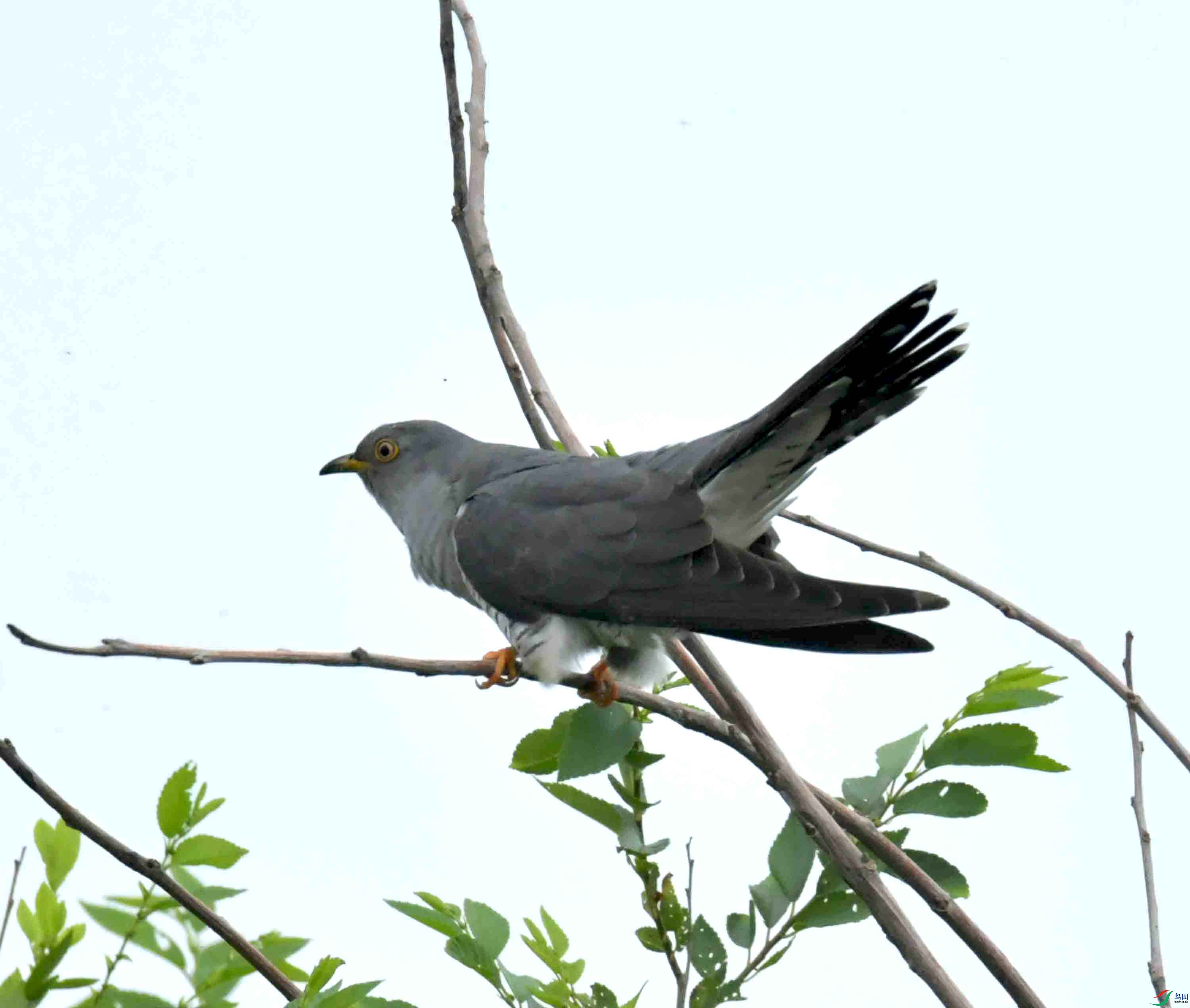 DSC_9276.JPG