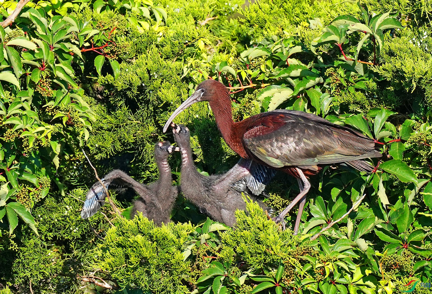 DSC09840----.jpg