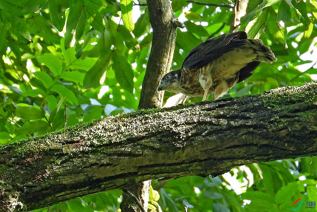 DSCN4051.jpg