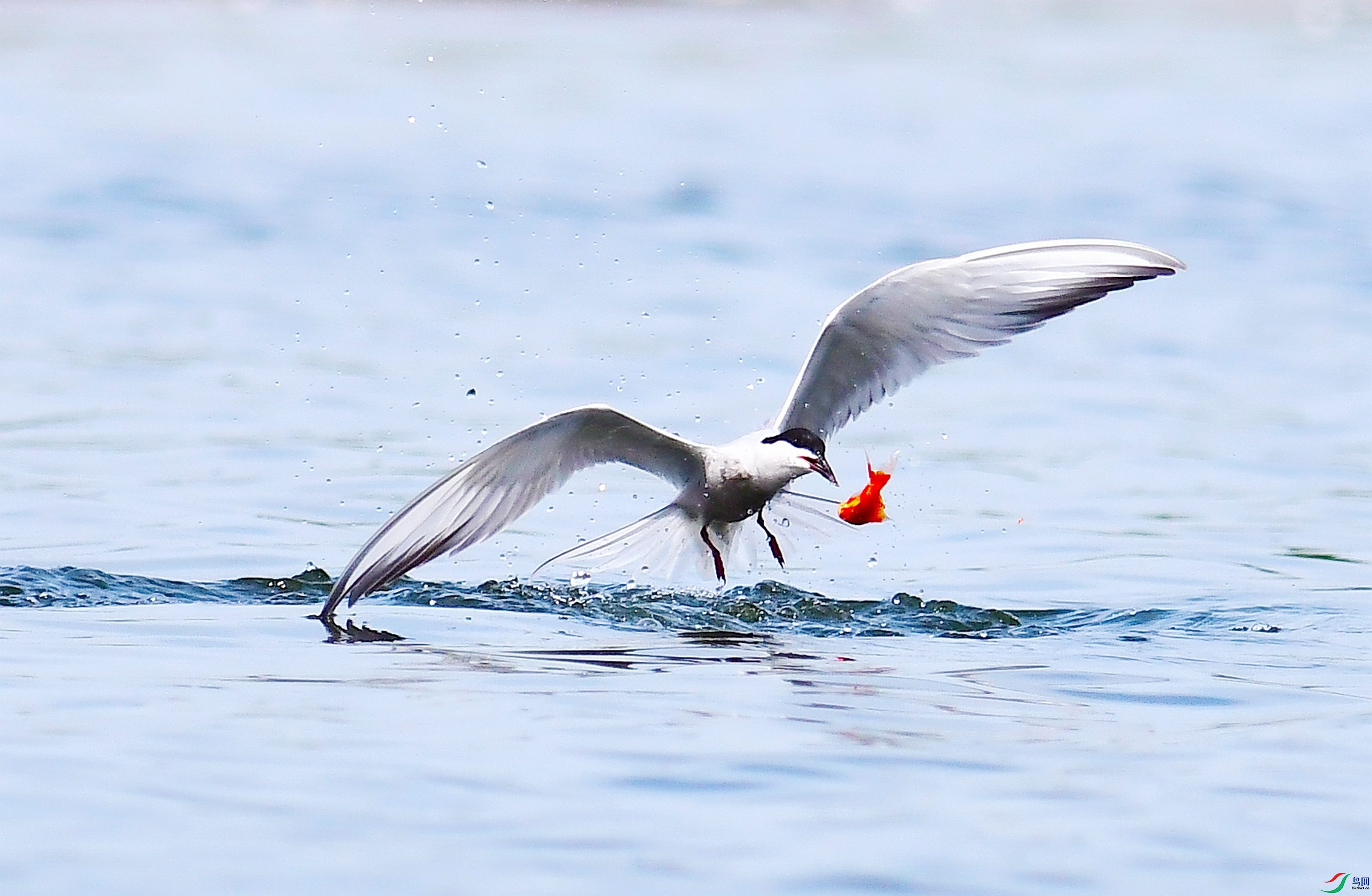 DSC_3845.JPG