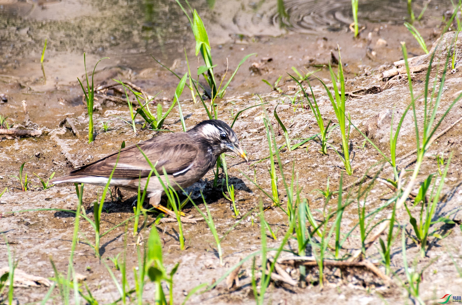 DSC_5843.jpg