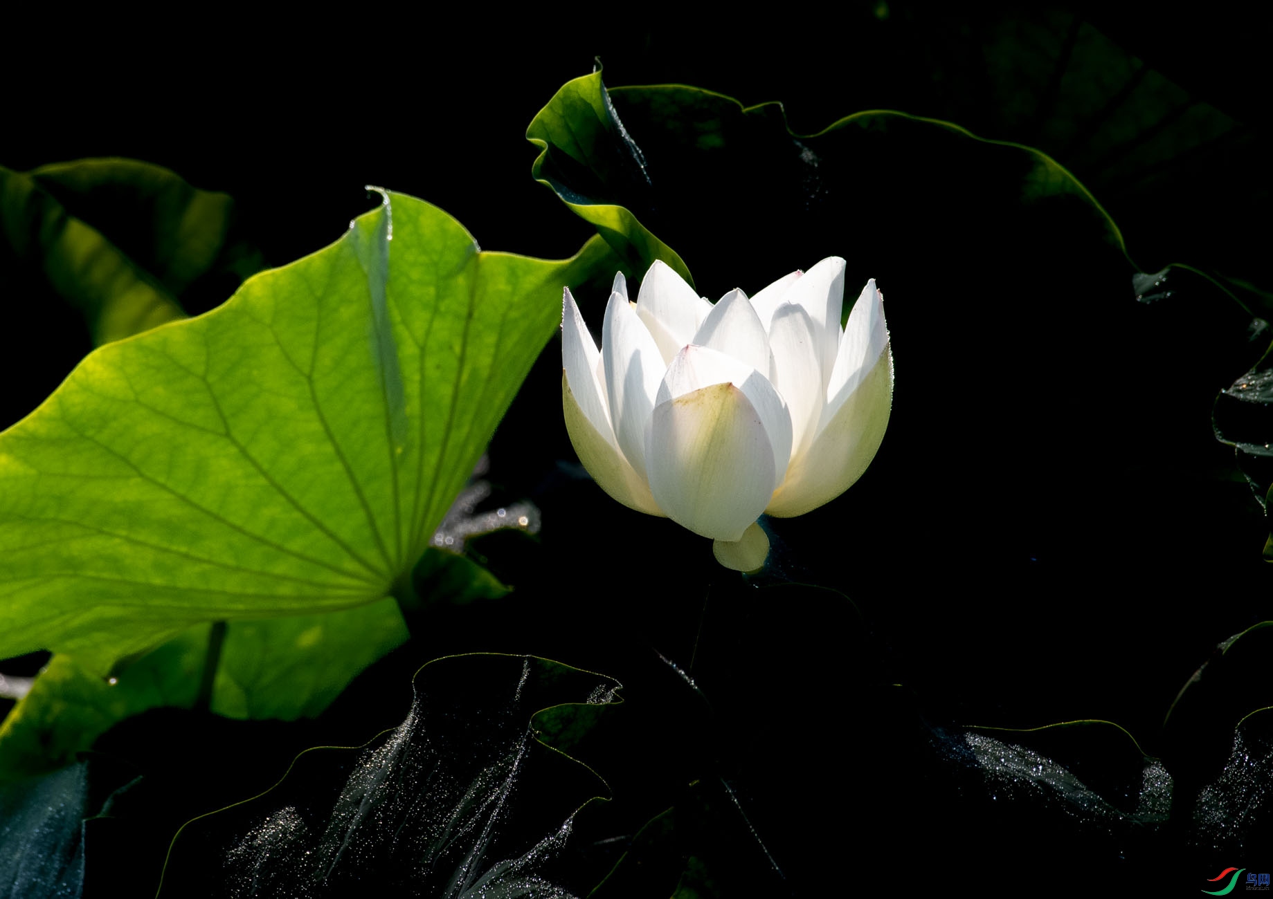 DSC_2103.jpg