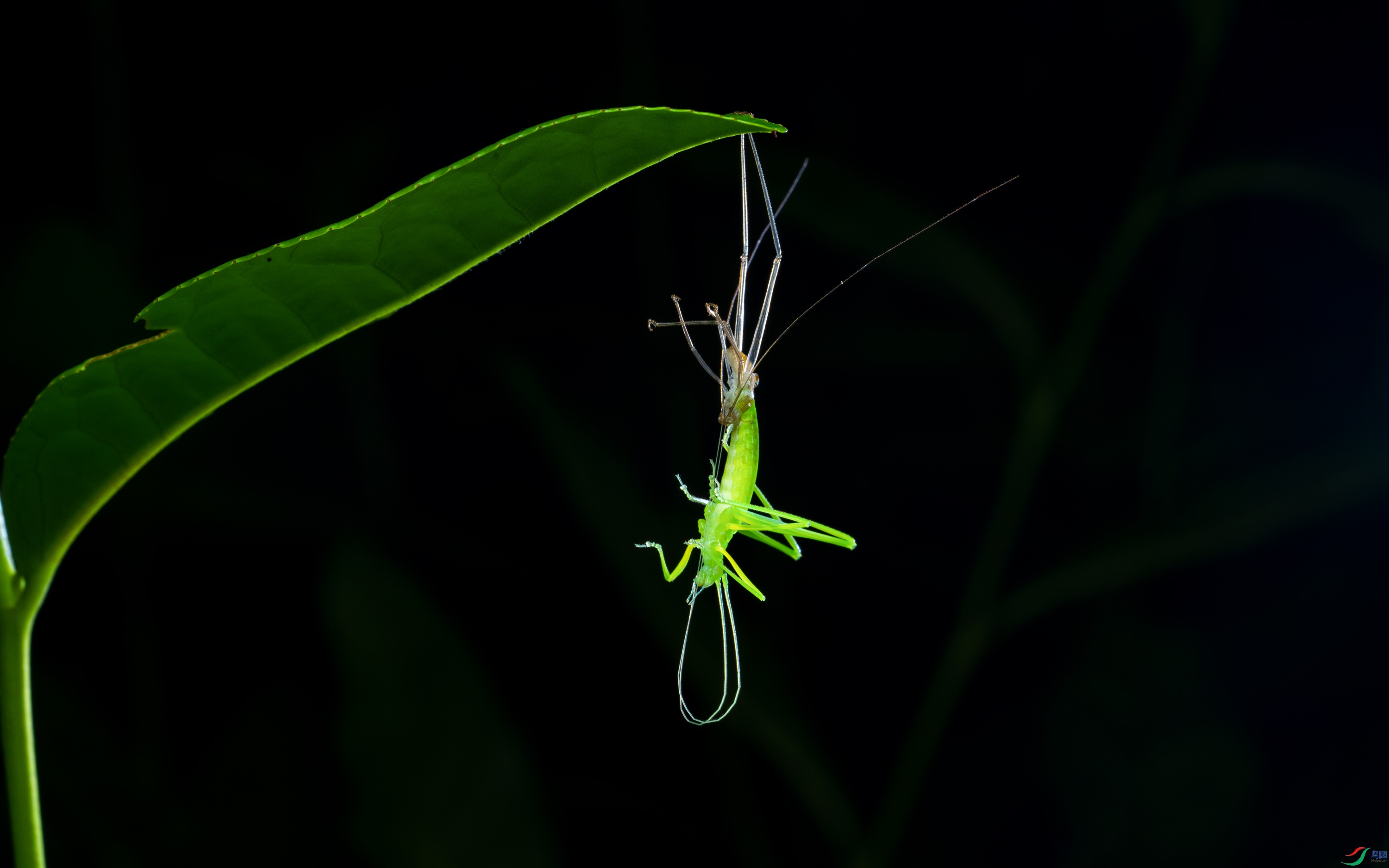 DSC04560-2.jpg