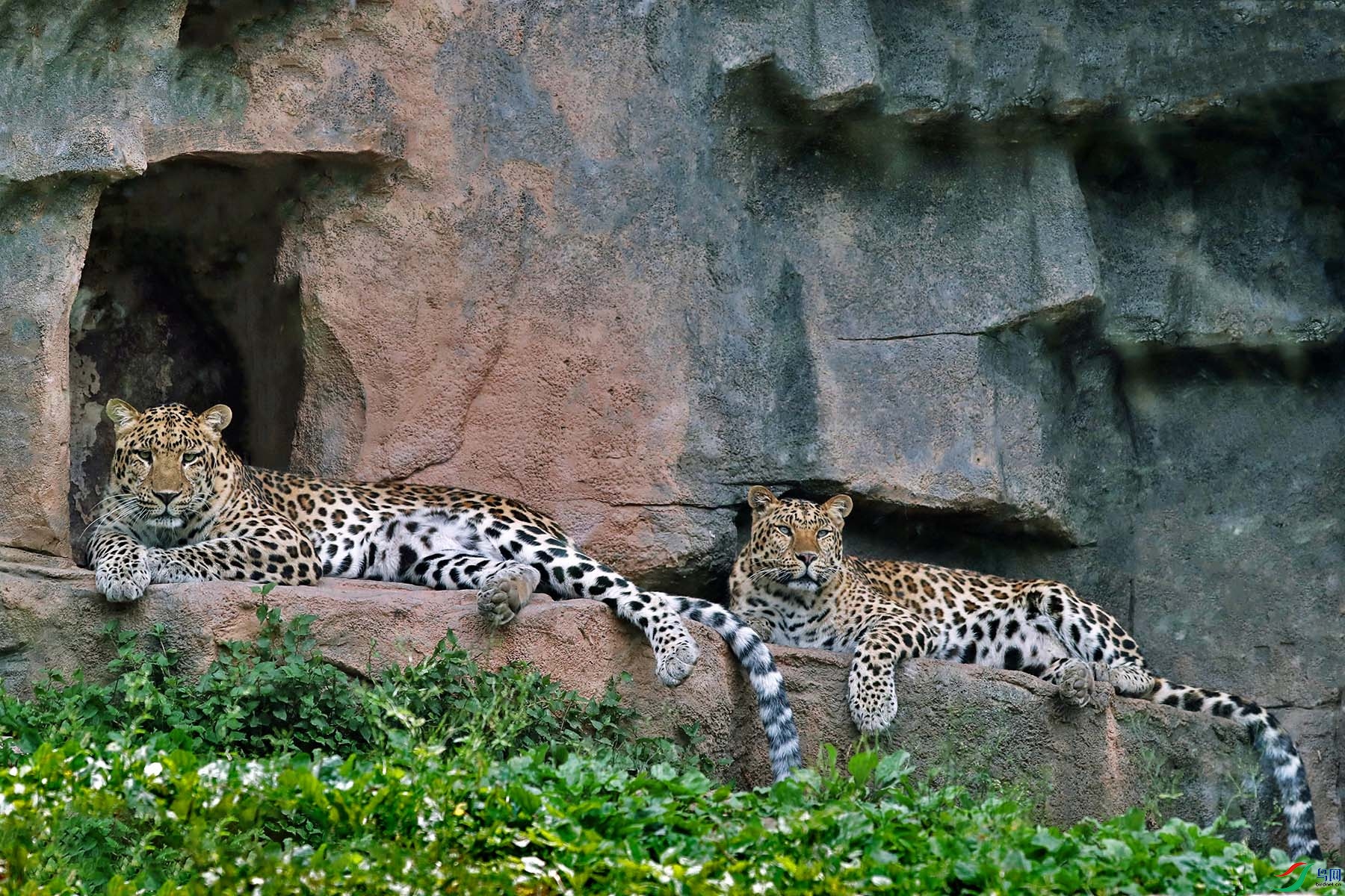 ��Ǯ��006.JPG