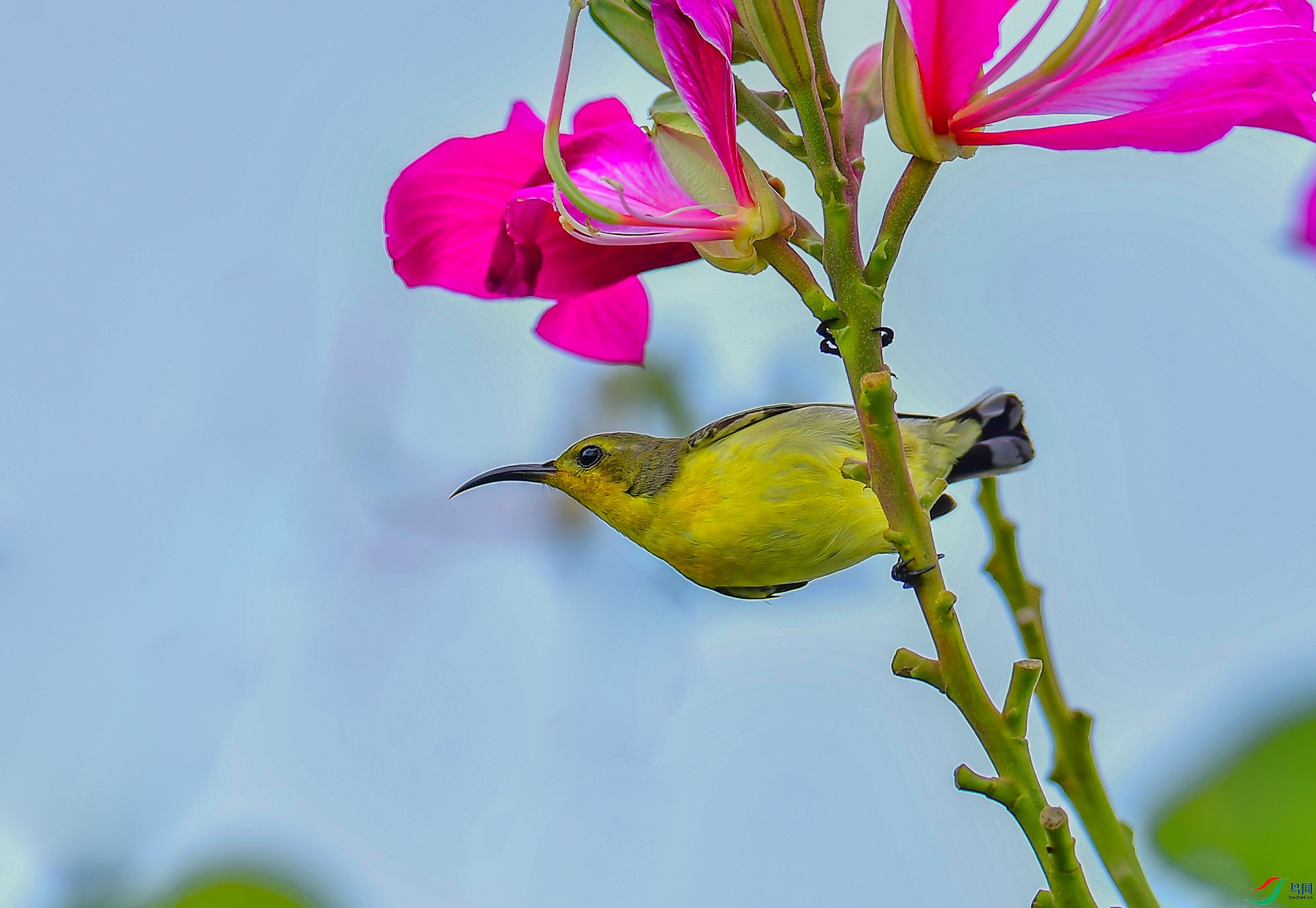 DSC_6717 ����.jpg