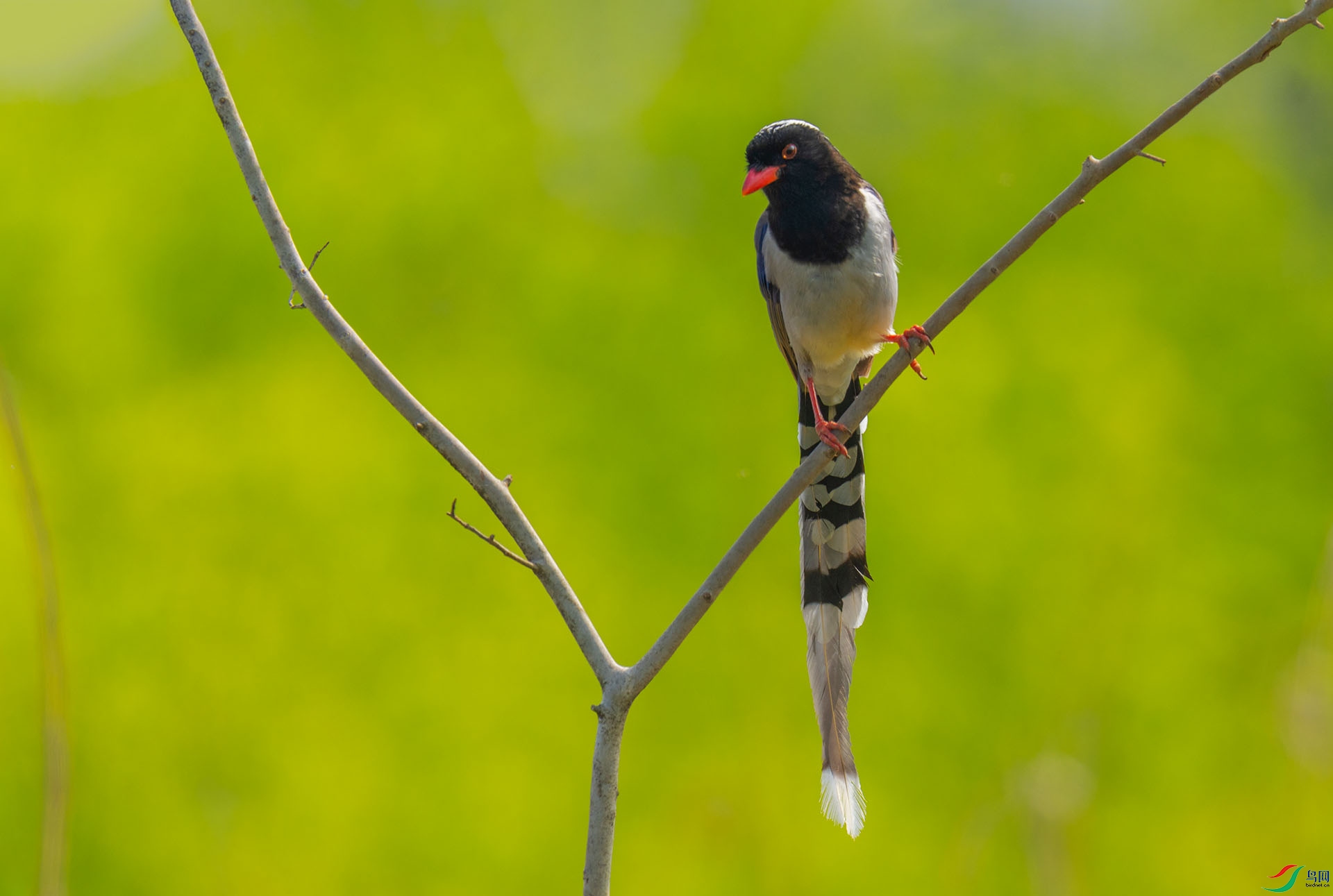 DSC_0800 ����.jpg