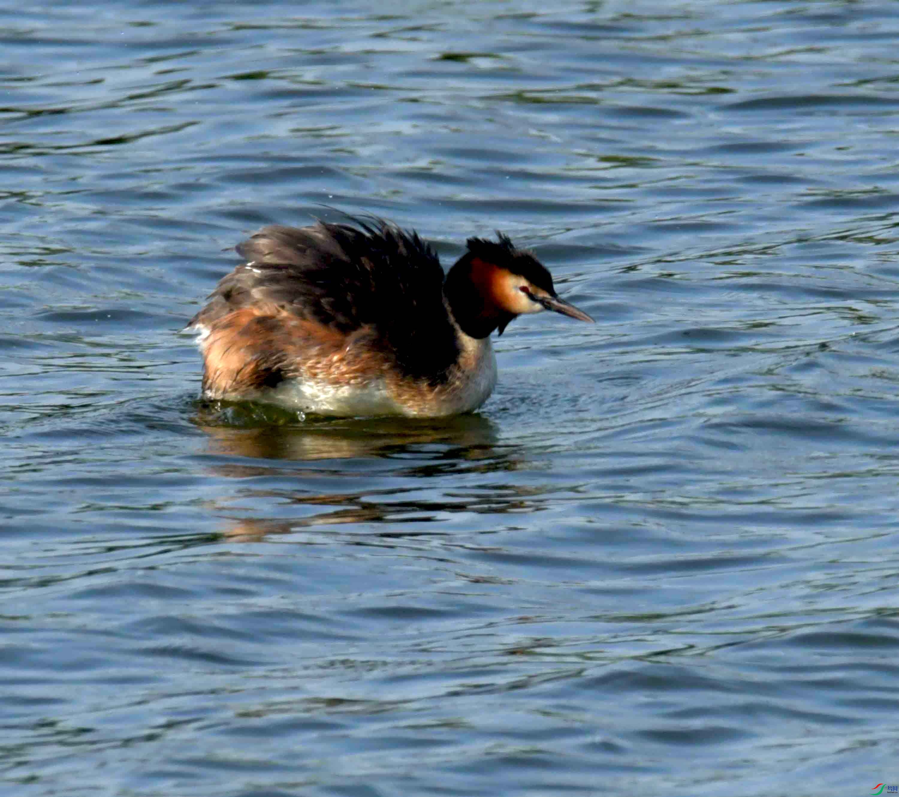DSC_4572.JPG