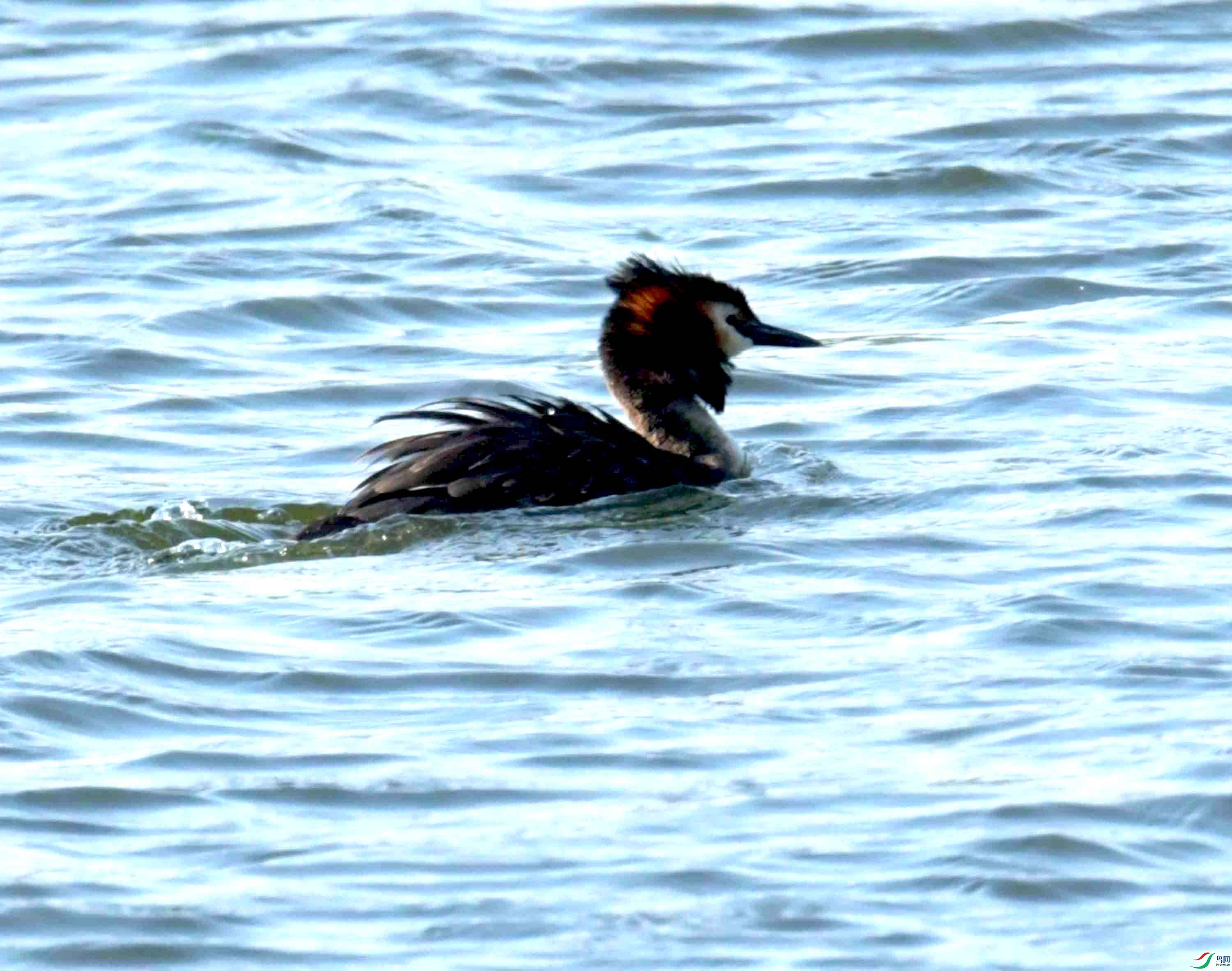 DSC_4581.JPG