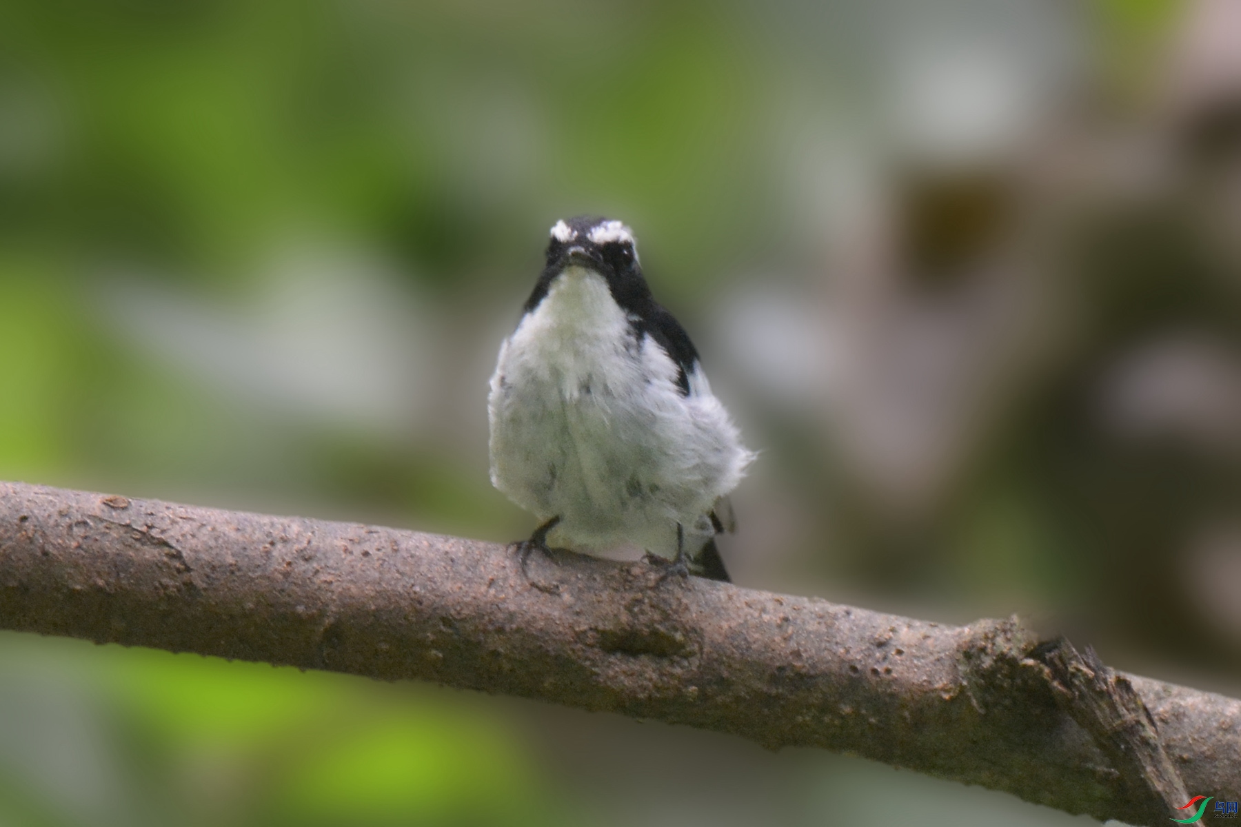 DSC_3064.P�����ຣ.jpg