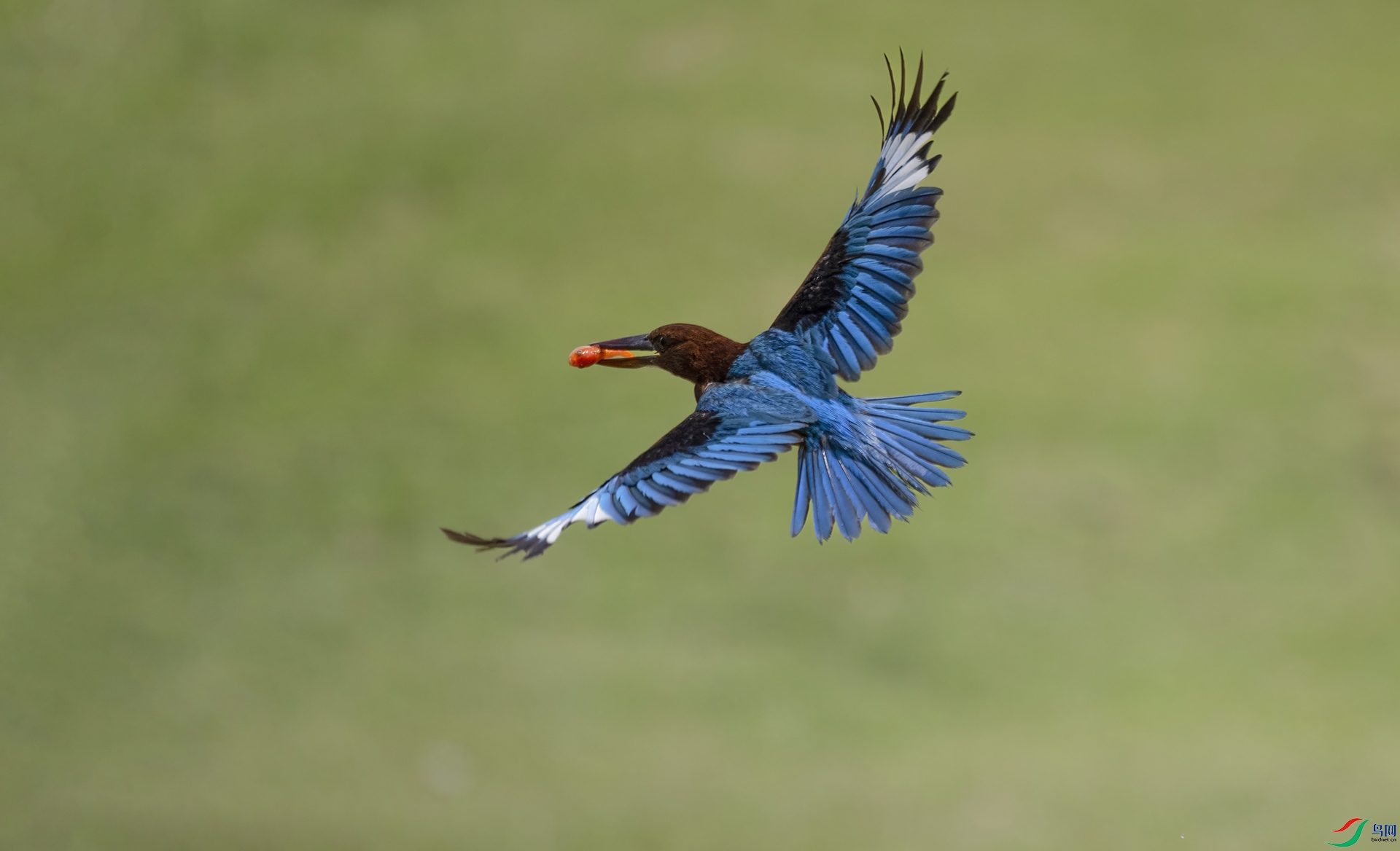 DSC_2639 ����.jpg