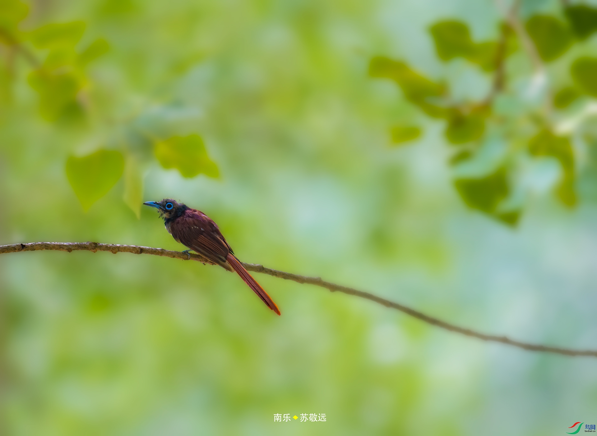 _DSC7373С.jpg