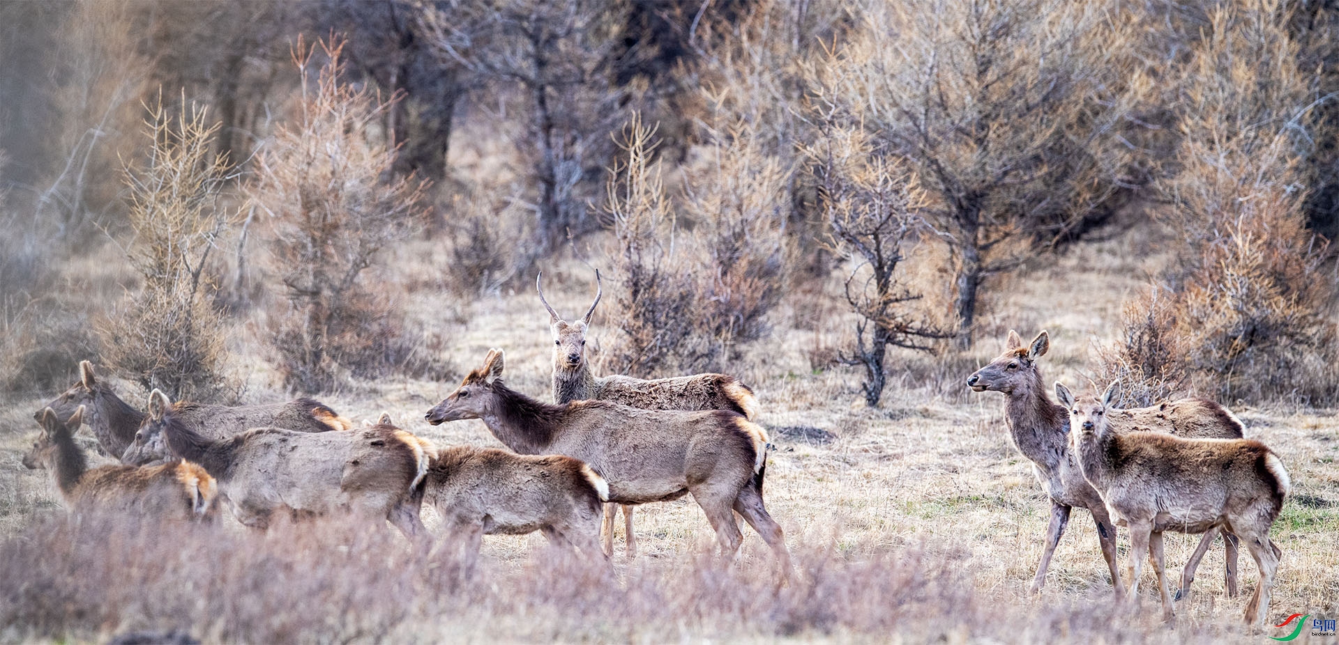DSC_4813-1.jpg