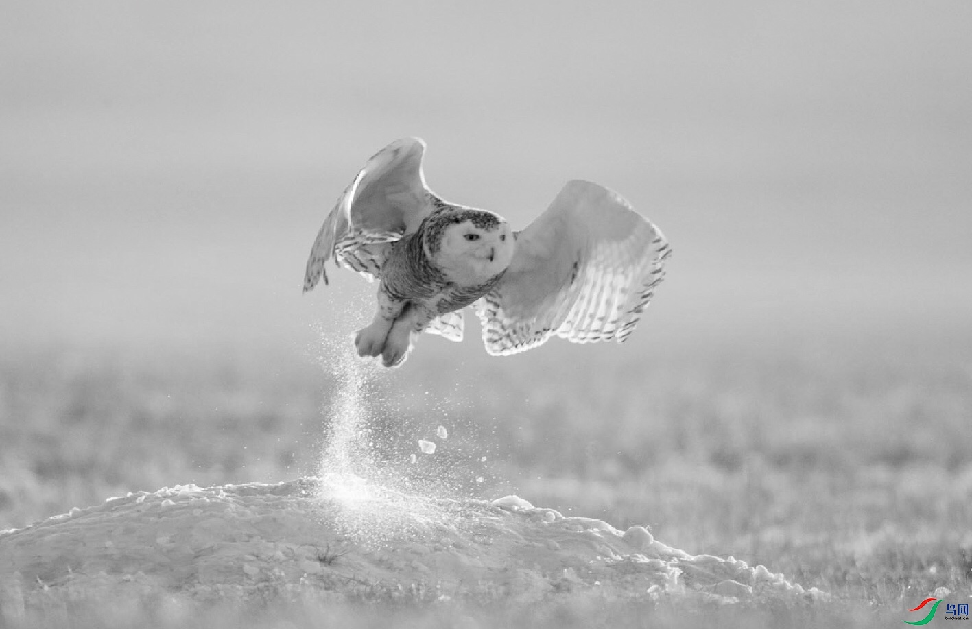 011BCA8F-B375-45B7-A988-7A30FD9609BF.jpeg