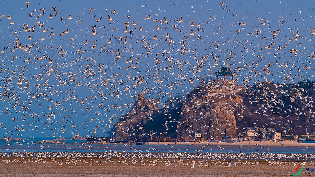 DSC_0475.jpg