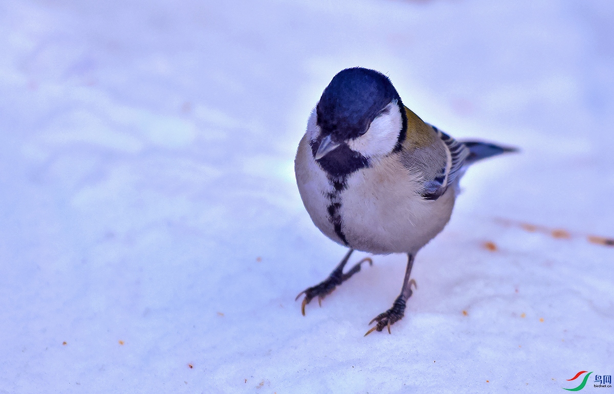 DSC_5360.JPG