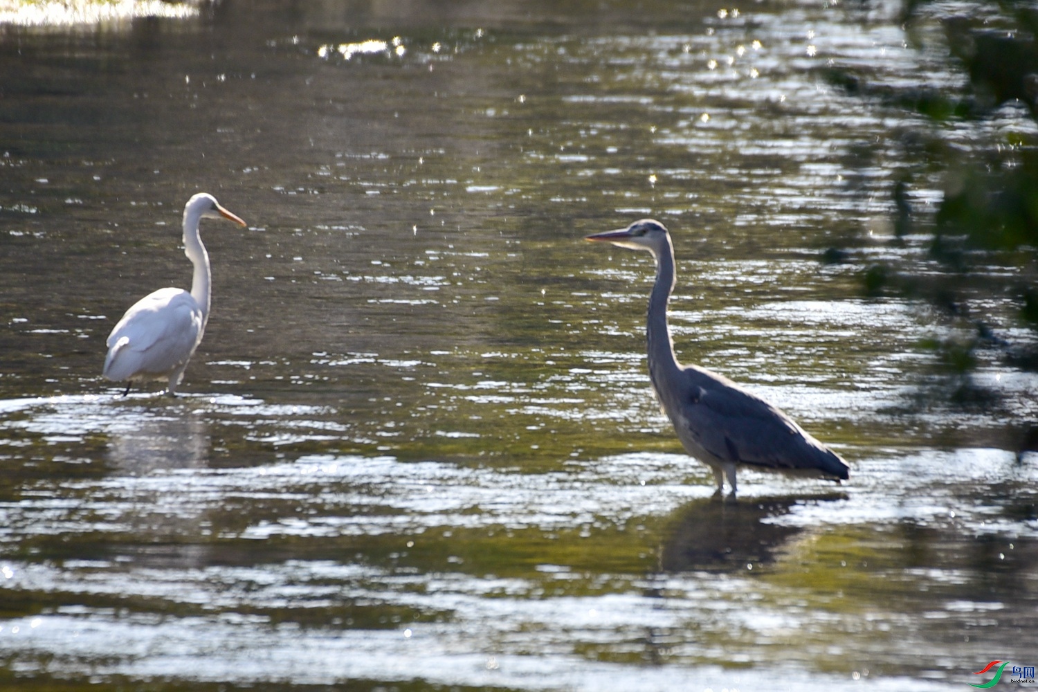 DSC_2755.JPG