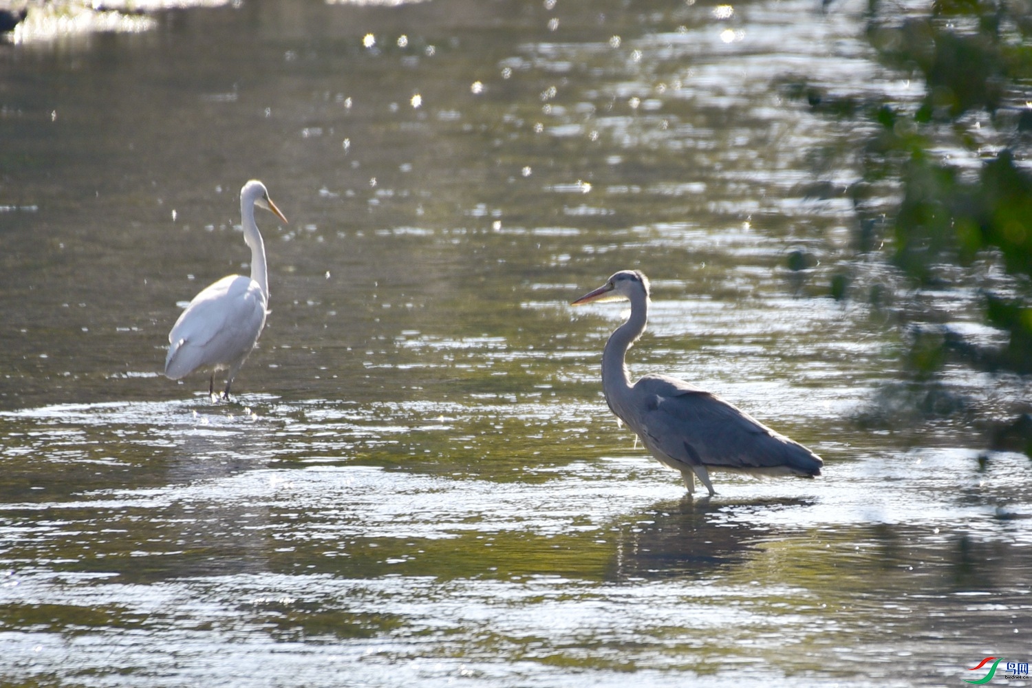 DSC_2757.JPG