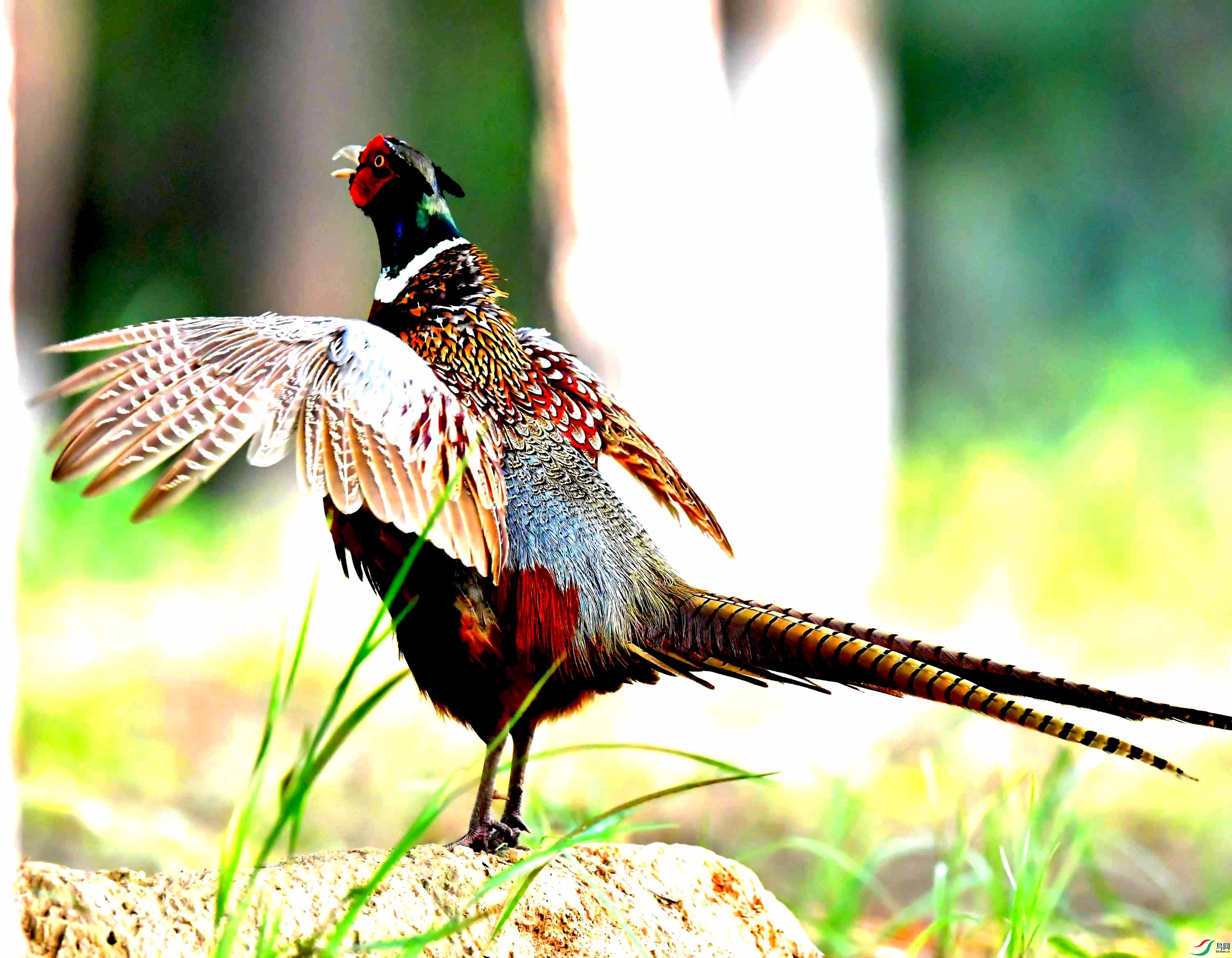 Copy2_DSC_6687_��ͼ��.jpg
