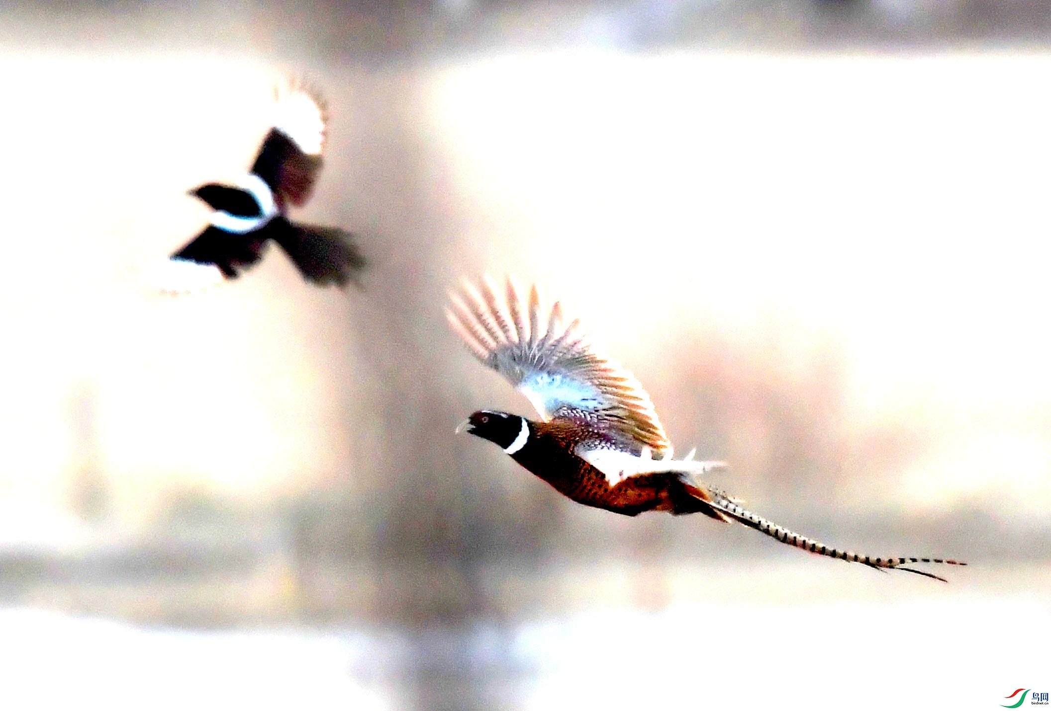 DSC_5071_��ͼ��.jpg