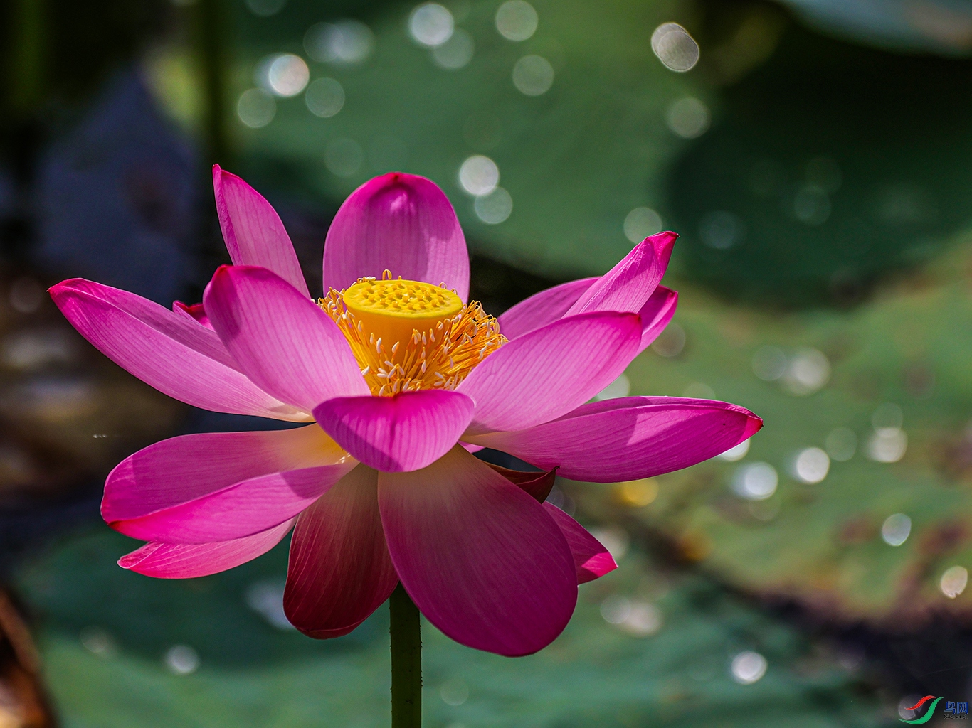 1K3A0745 ���� 1.jpg