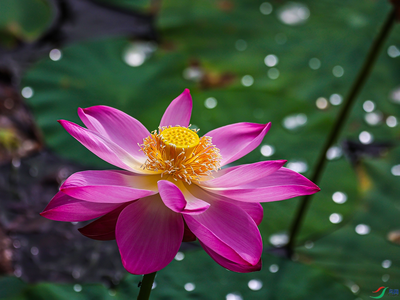 1K3A0748 ���� 1.jpg