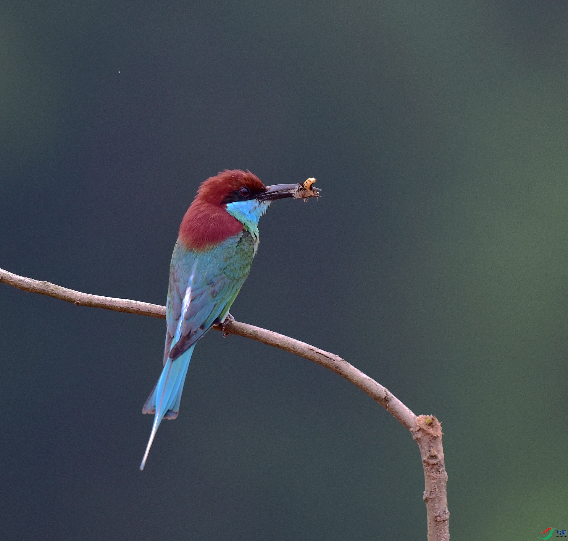 D8I_0607.jpg