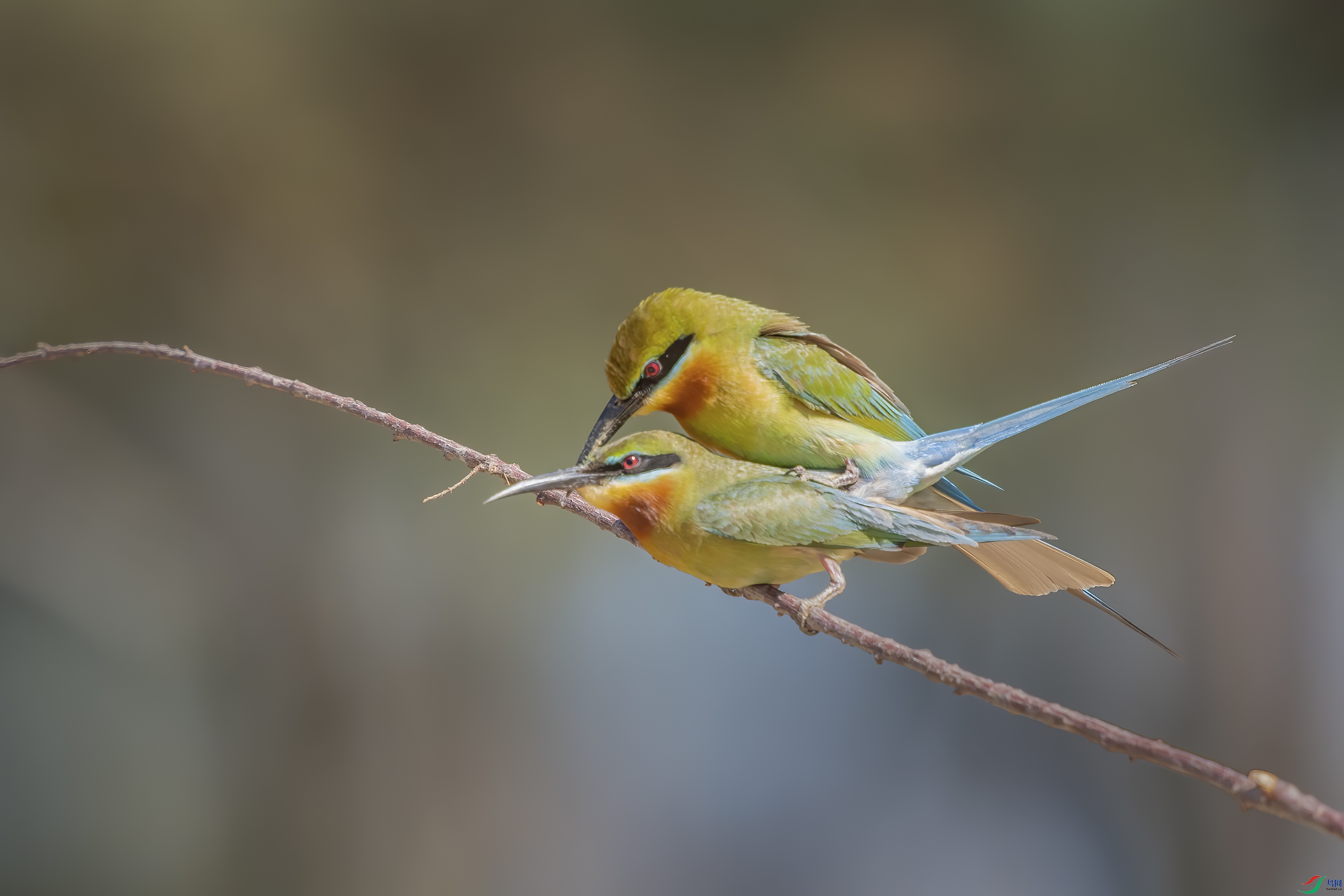 DSC_2636.jpg
