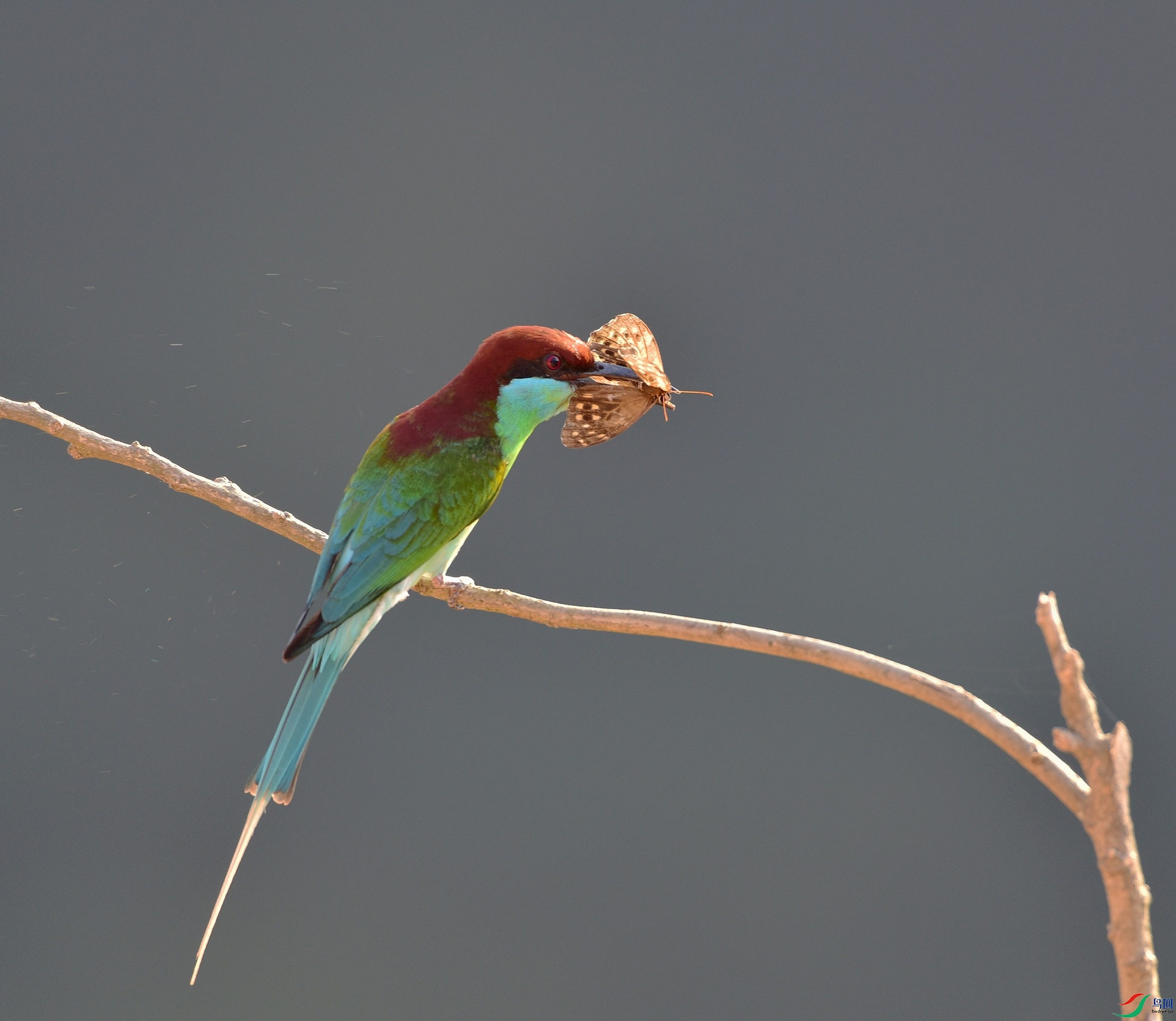 D8I_4972.jpg