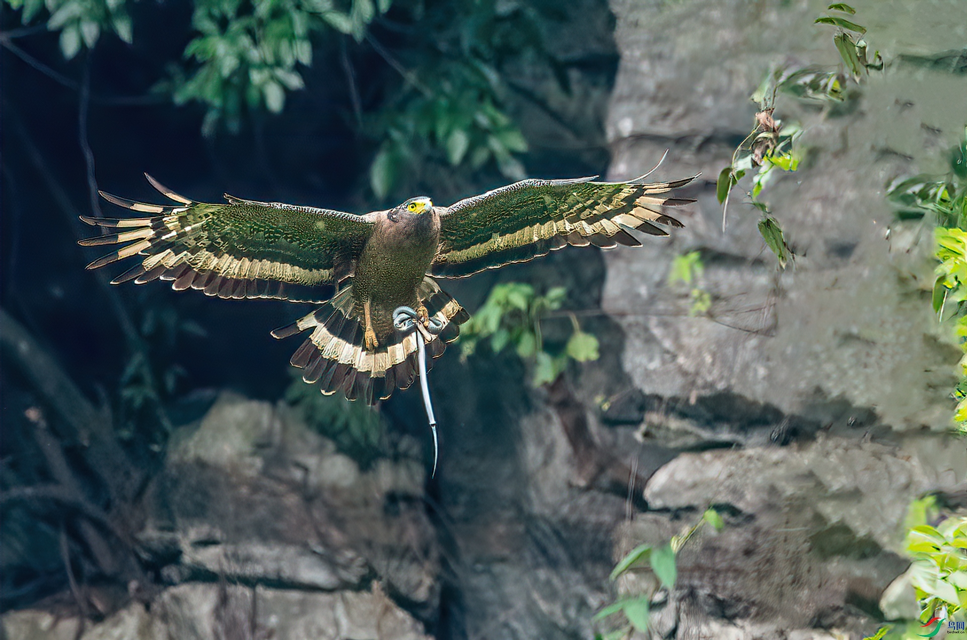 DSC_3395-1.jpg