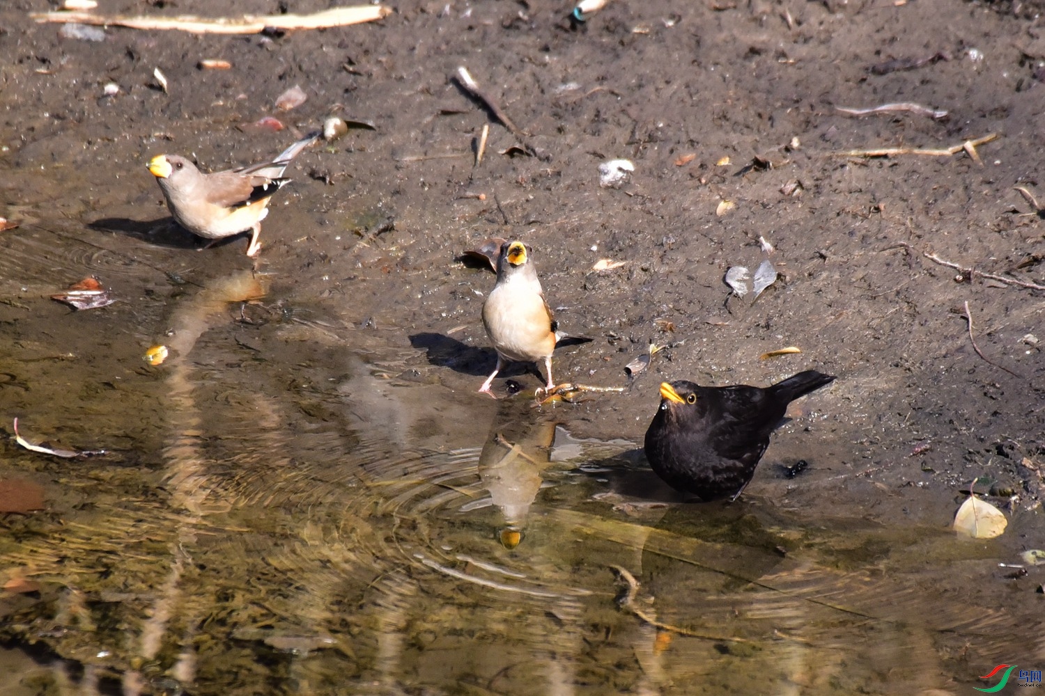 DSC_7506.JPG